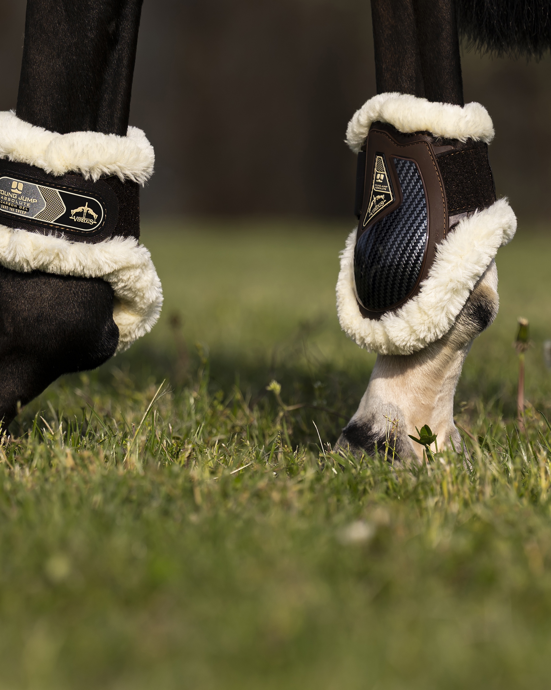 Streichkappen Young Jump Absolute Carbon Gel STS