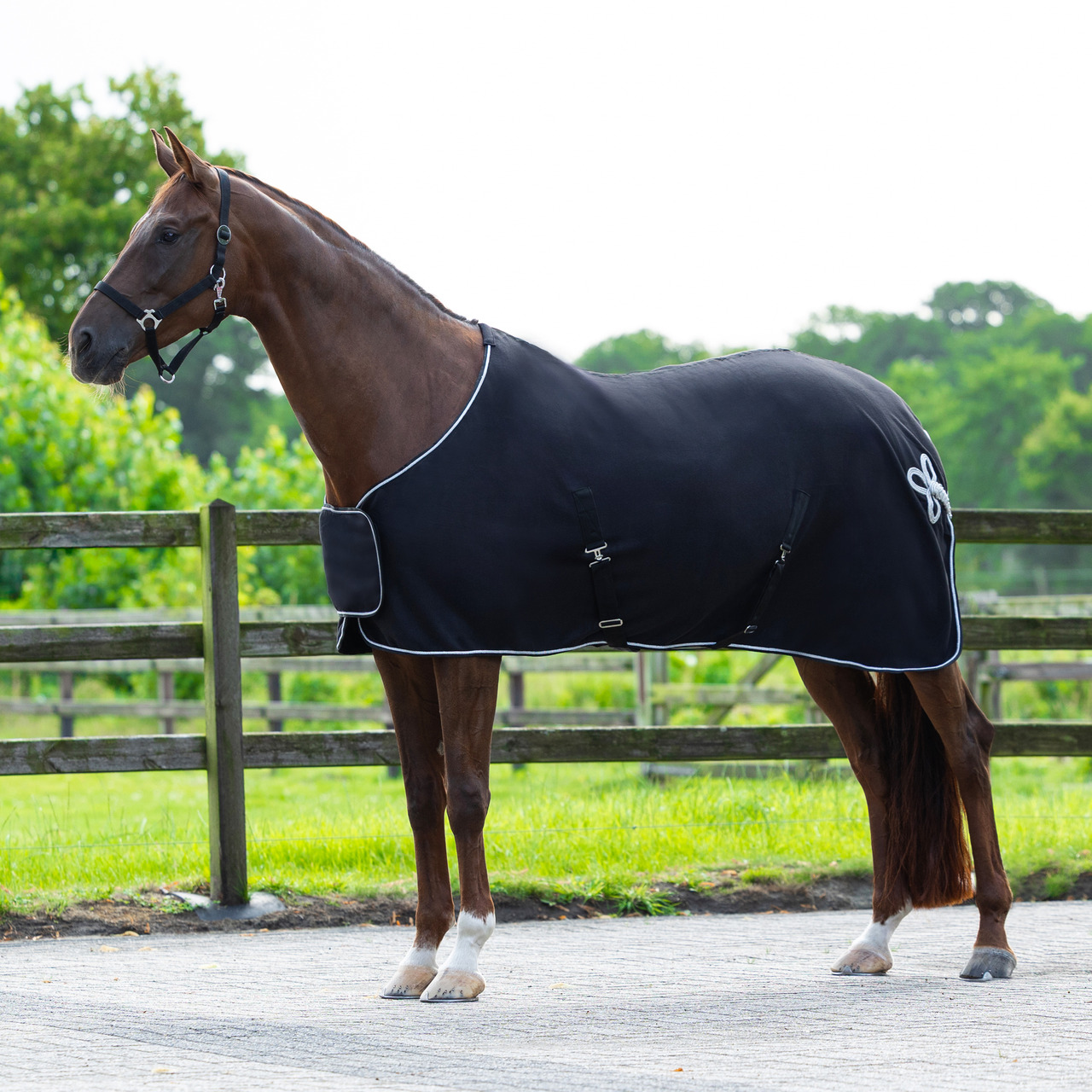 Abschwitzdecke mit Ornament