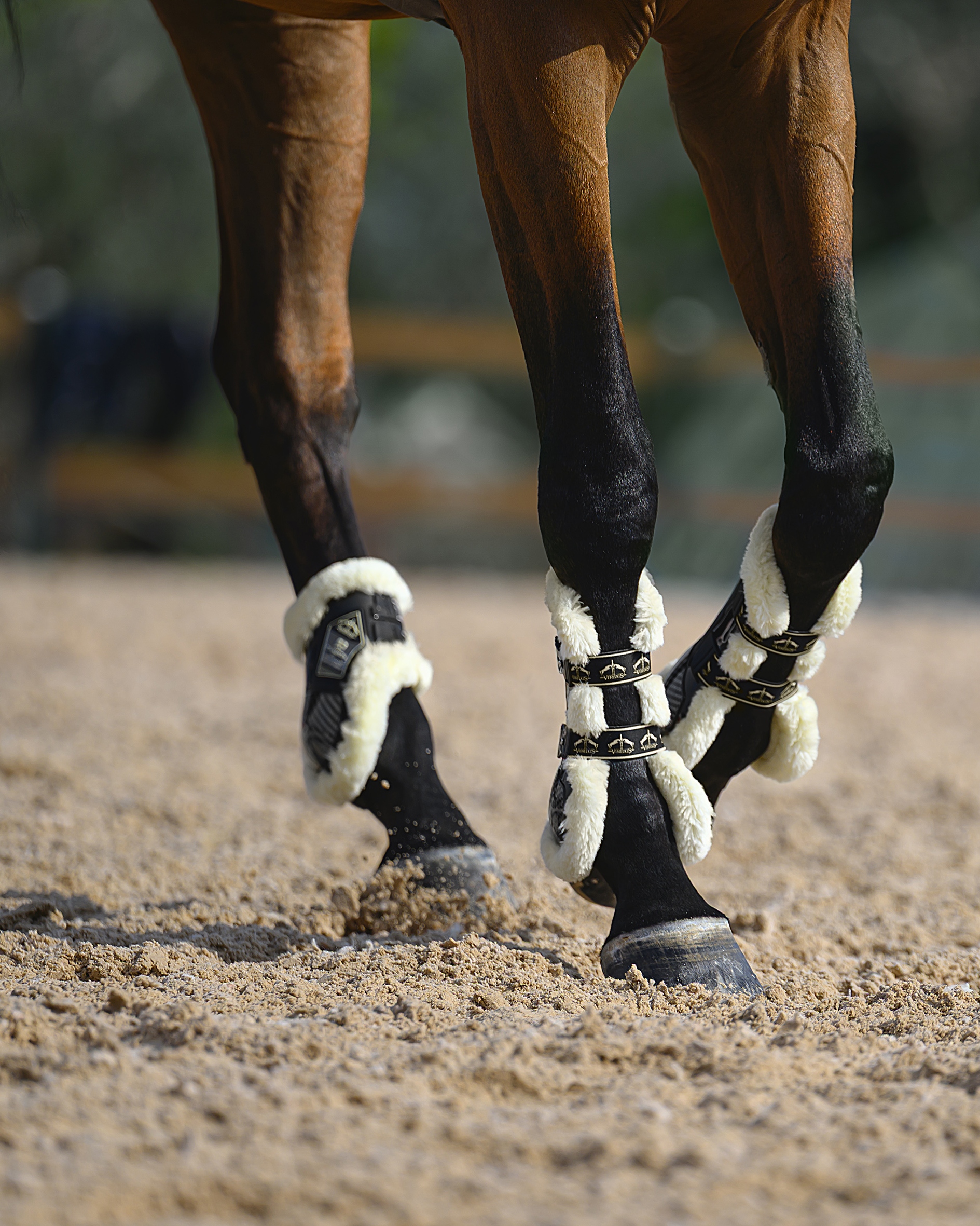 Streichkappen Carbon Gel Absolute STS