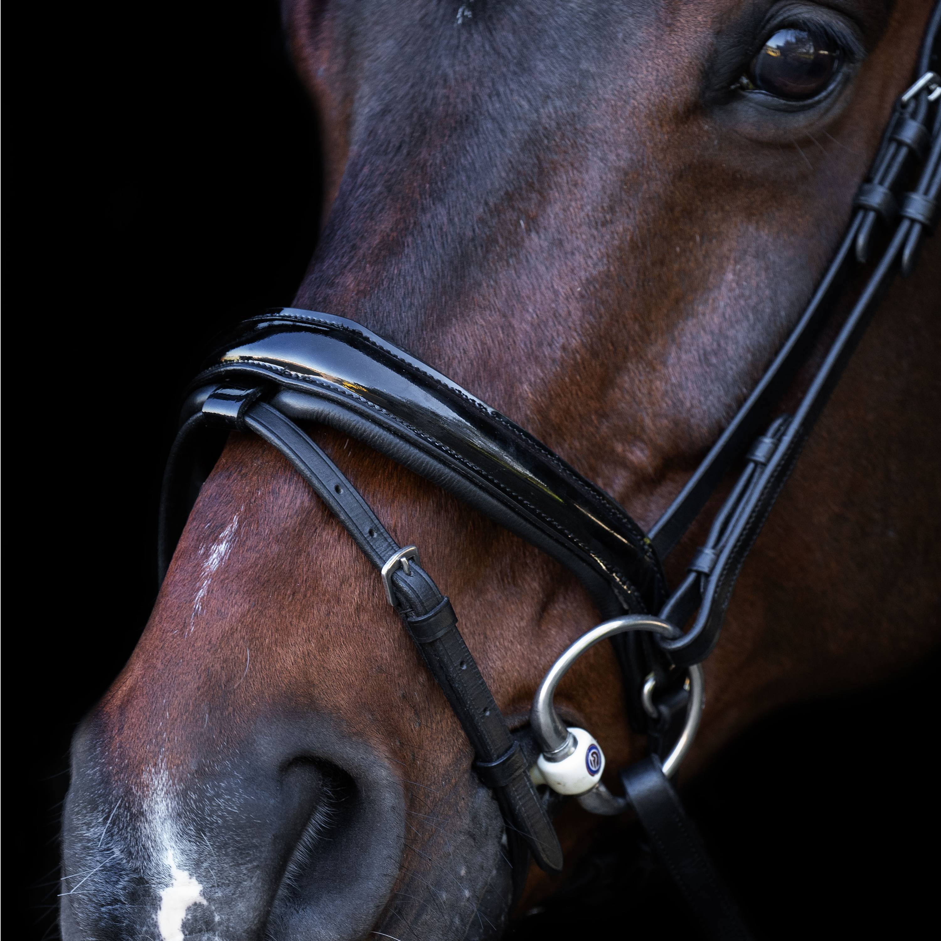 Snaffle bridle with English noseband