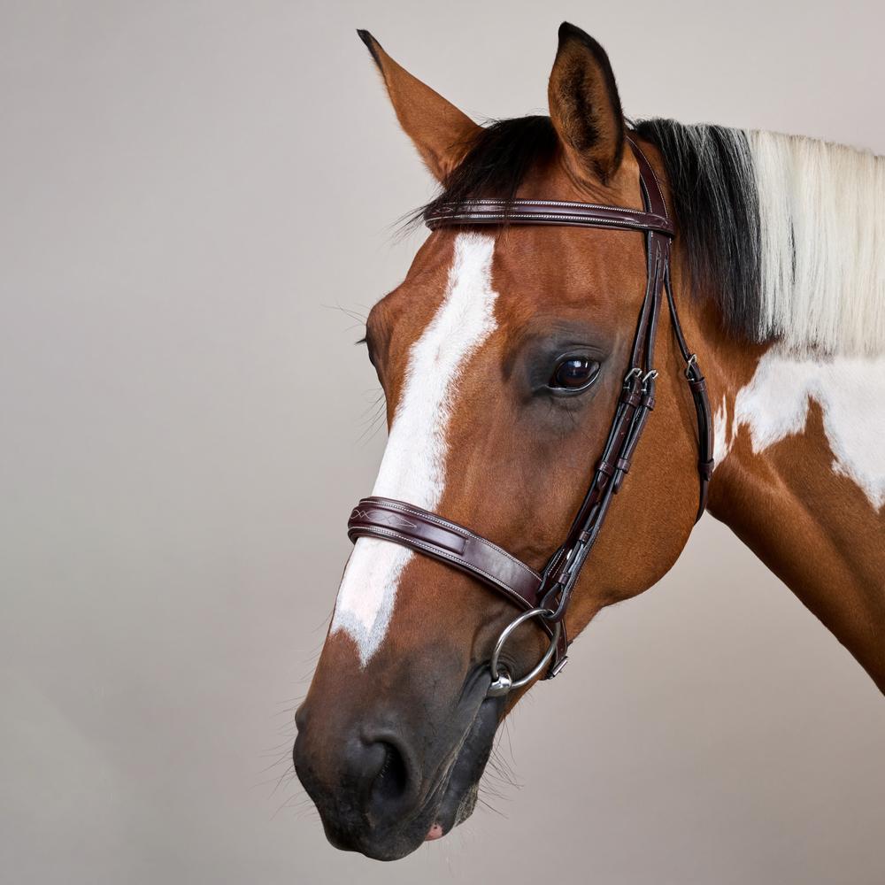 Hunter Trense mit breitem englischem Reithalfter US