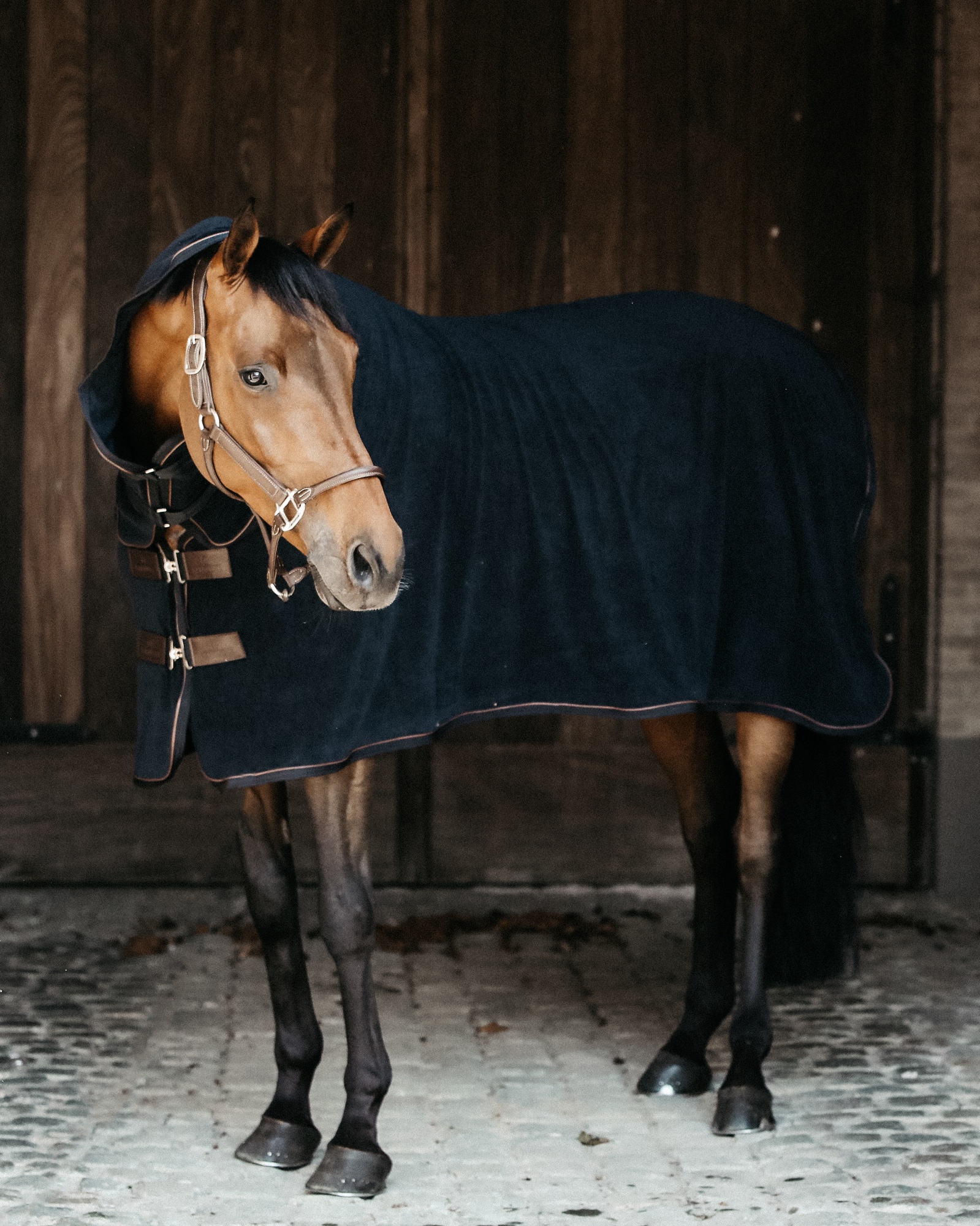 Towel sweat rug