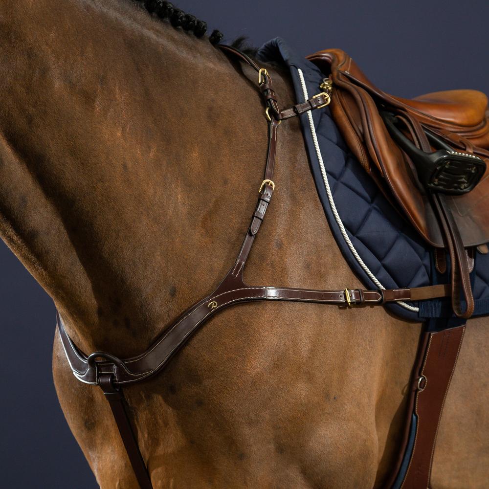 Anatomisches Vorderzeug | Dy'on