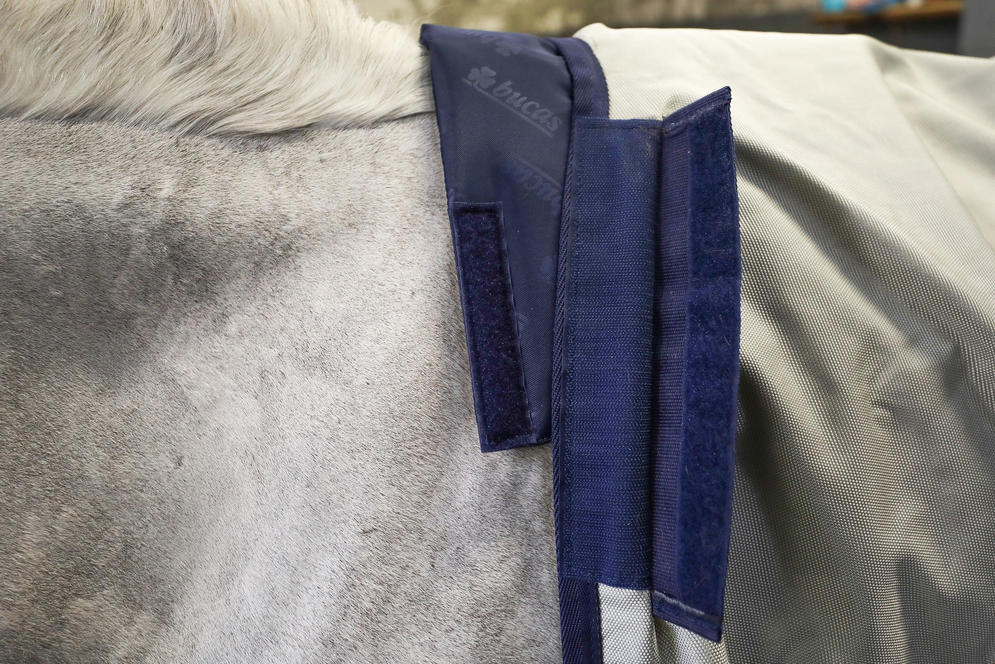 Wither Pad in Navy/Navy