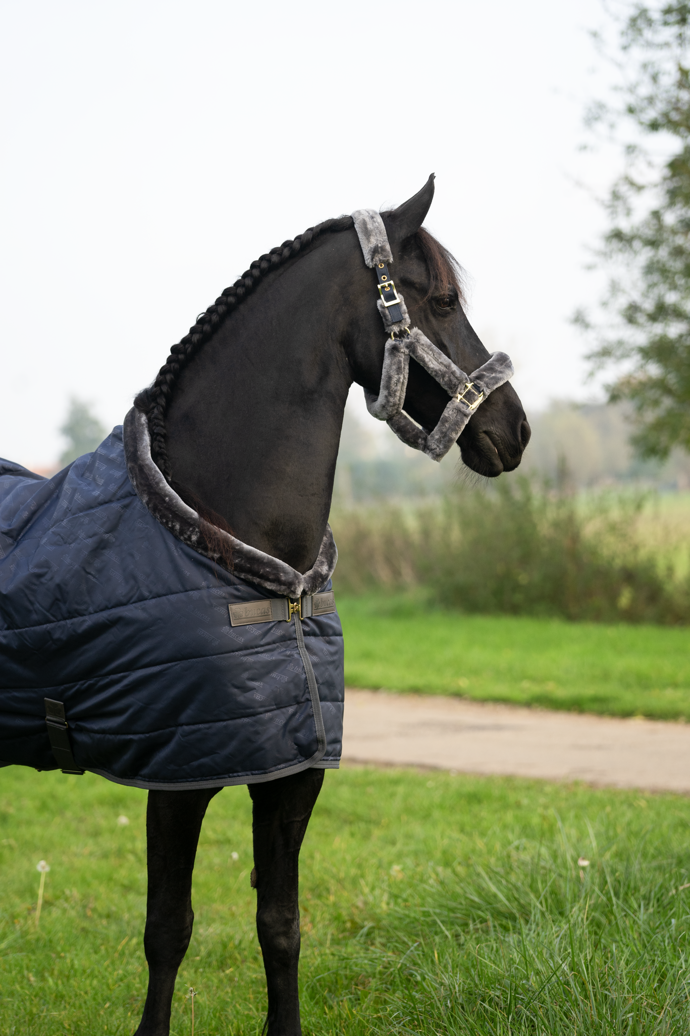 Stalldecke Show-Line in Navy/Grey