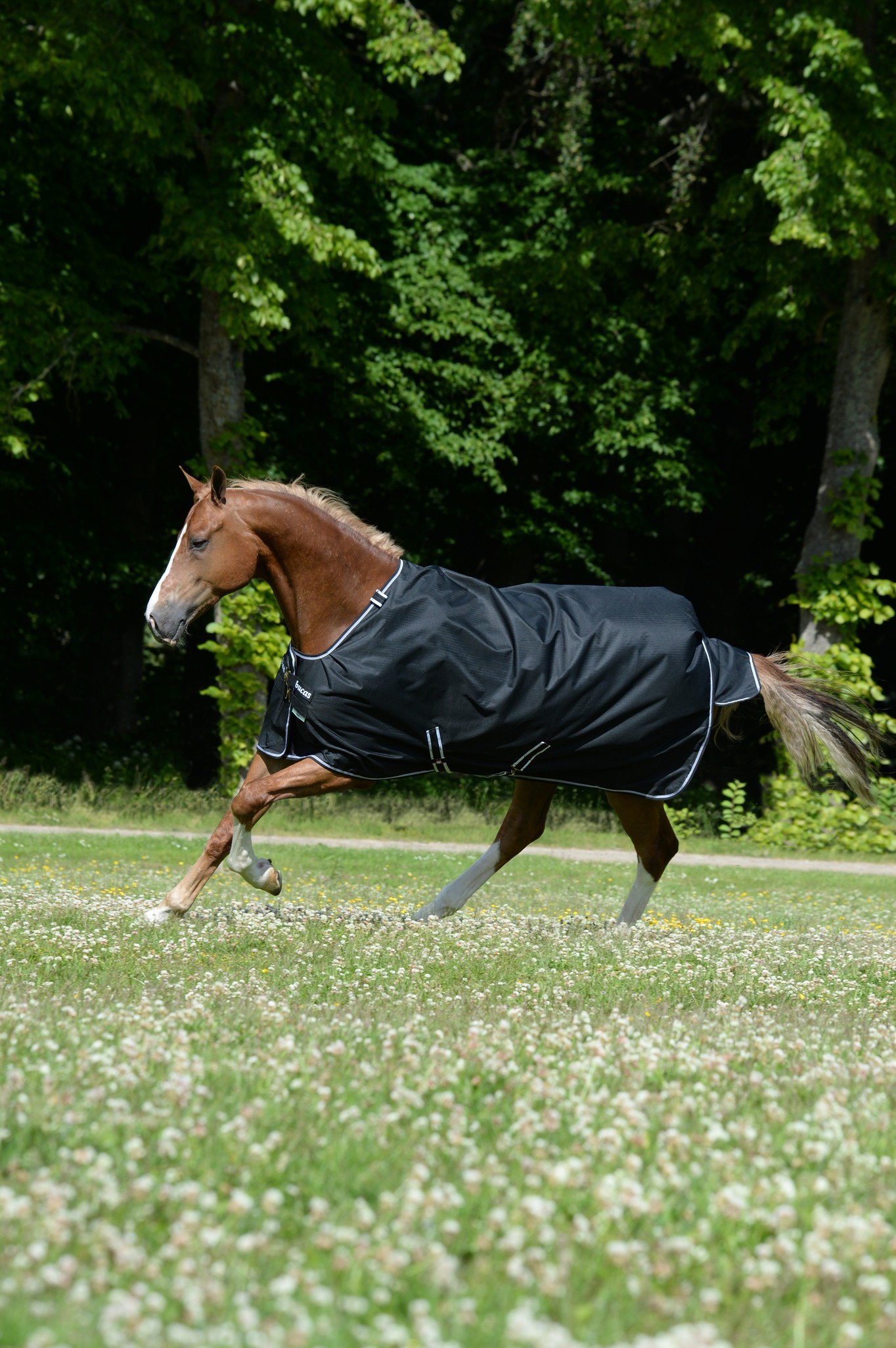 Outdoordecke Trot Turnout 50 g in Black/white