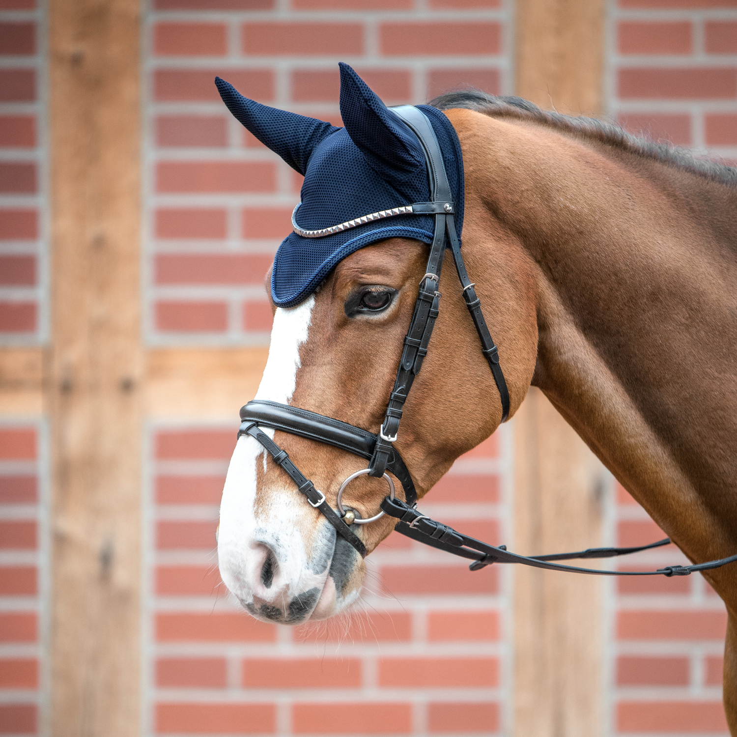 Fliegenohren Fly Air Mesh