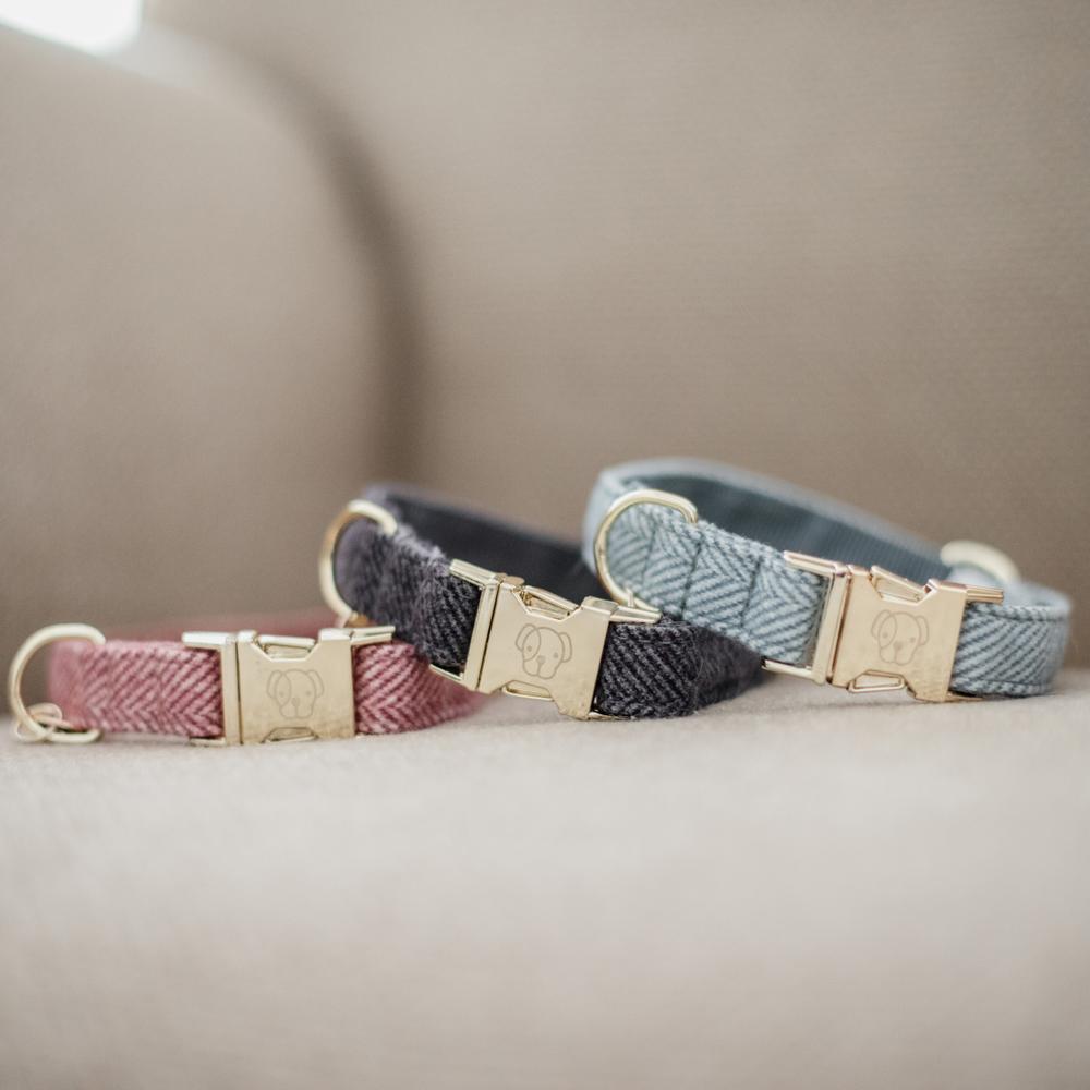 Hunde Halsband Wolle | Kentucky Dogwear