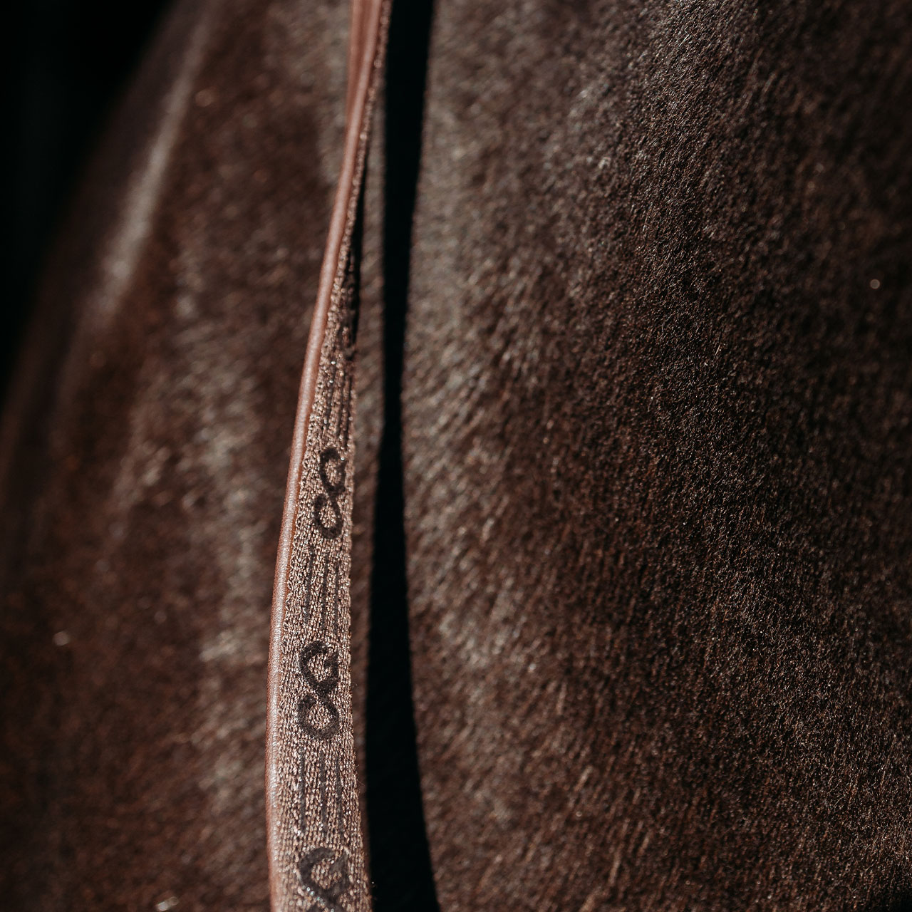Reins FayRein
