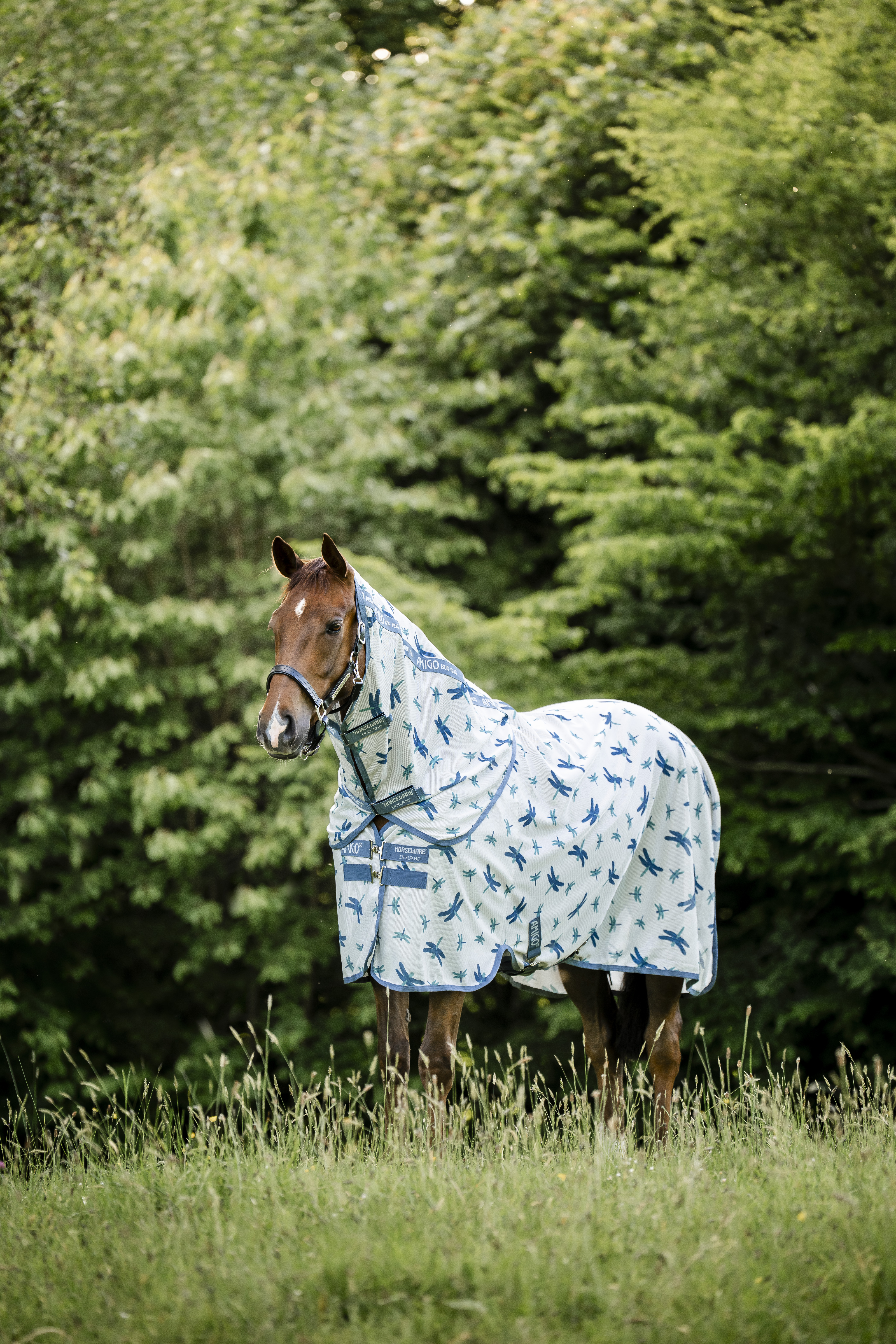 Fliegendecke Amigo Bug Rug XL in dragonfly print