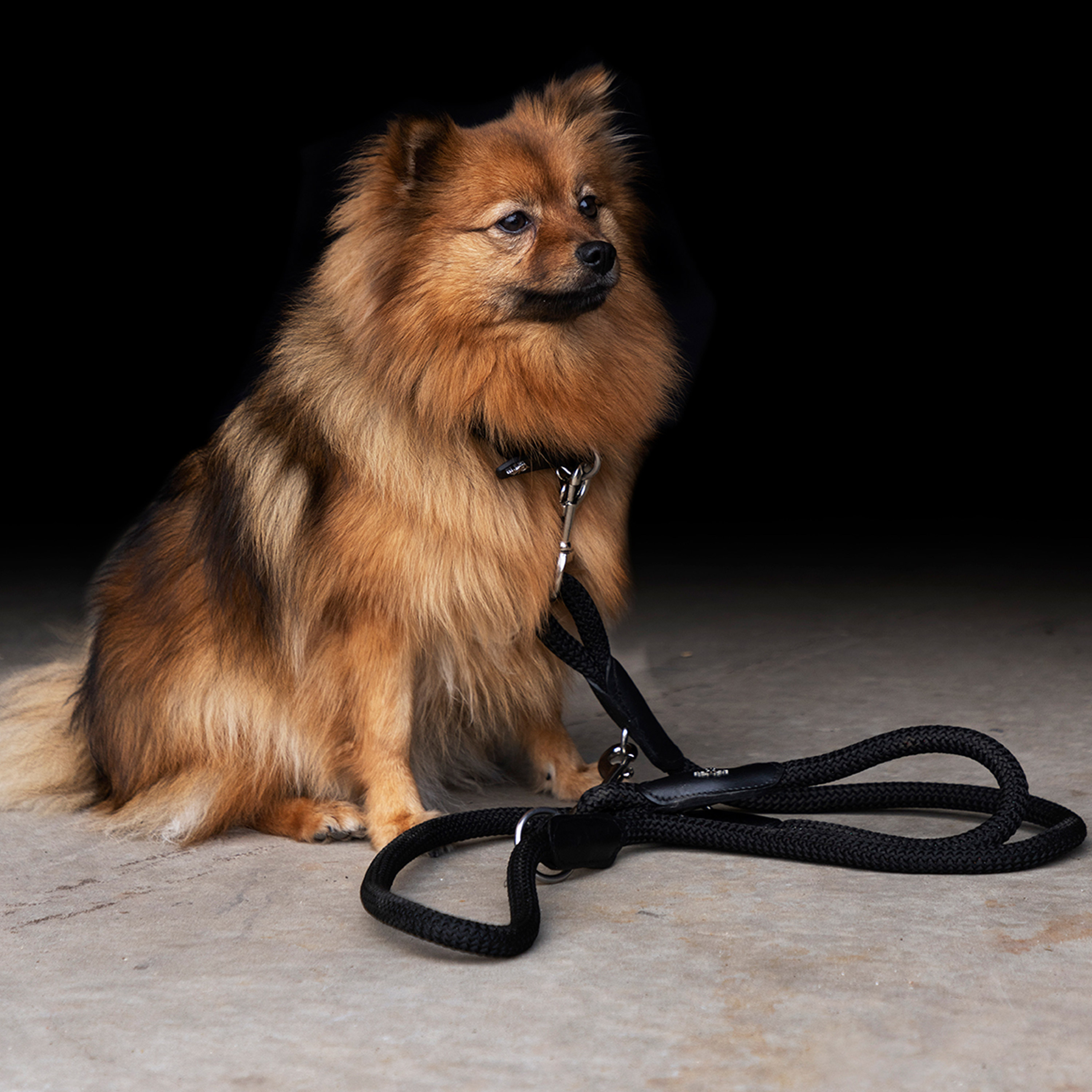 Hundehalsband Franka Rope