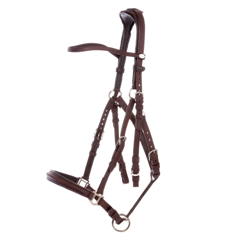 Wanderreittrense "Artemis"