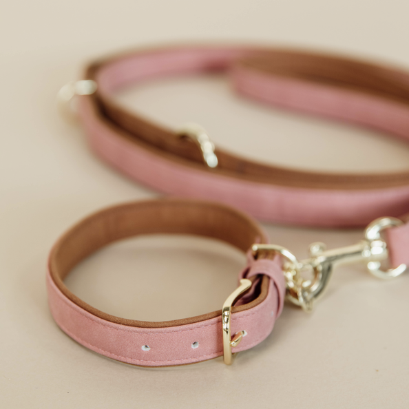 Hundehalsband Vegan Leder