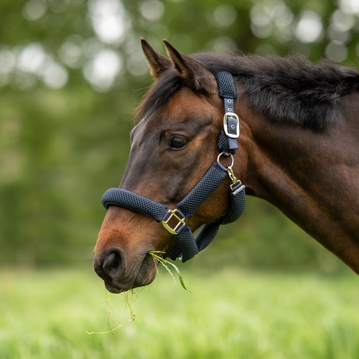 Halfter 3D Air Effect Plus