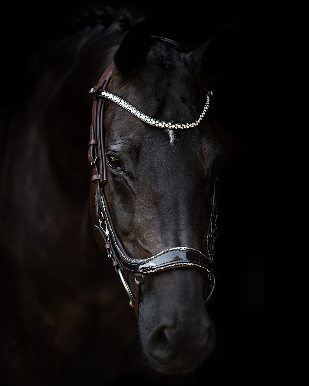 Bridle FaySport Glitter