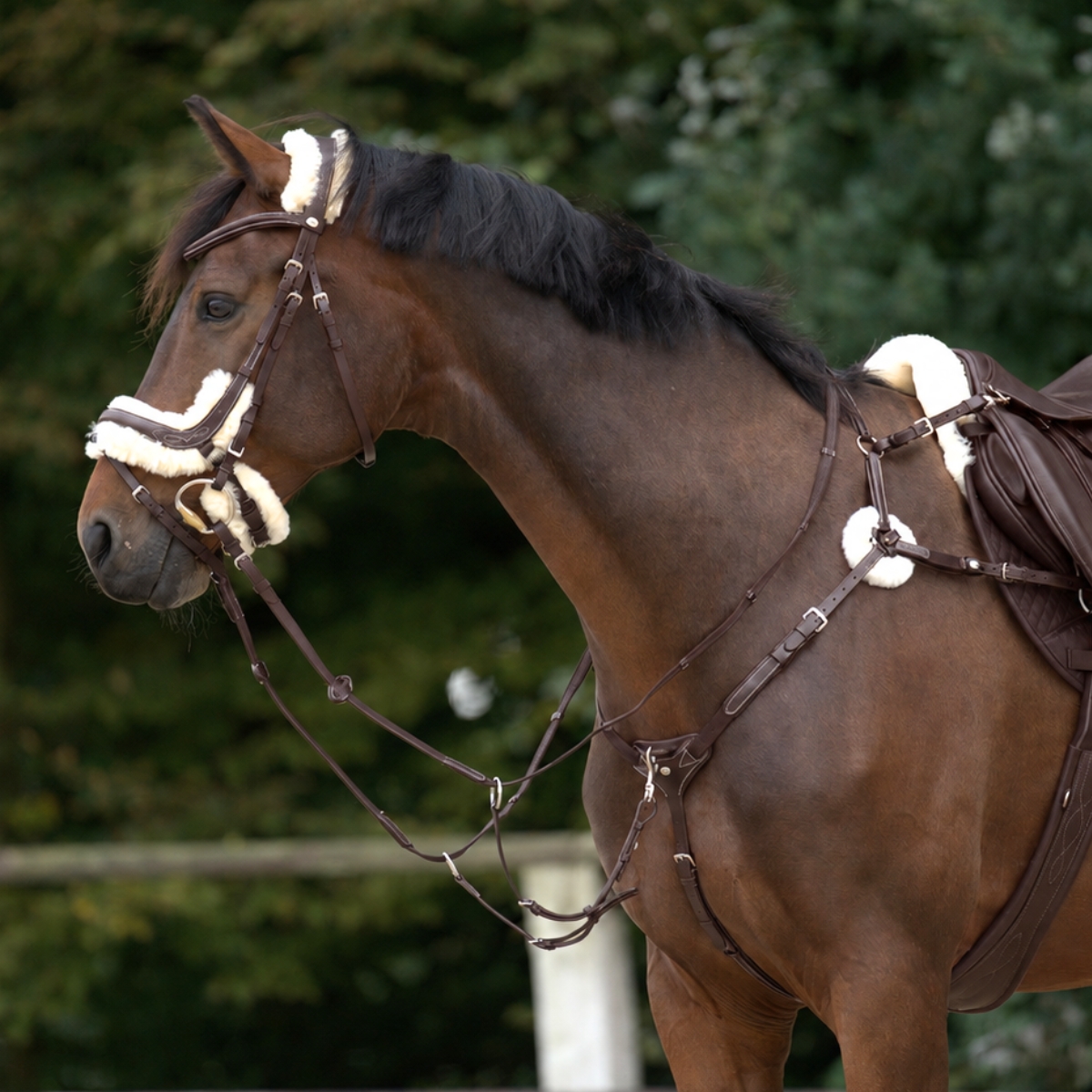Breastplate "Bianca" 5-pt. with elastic