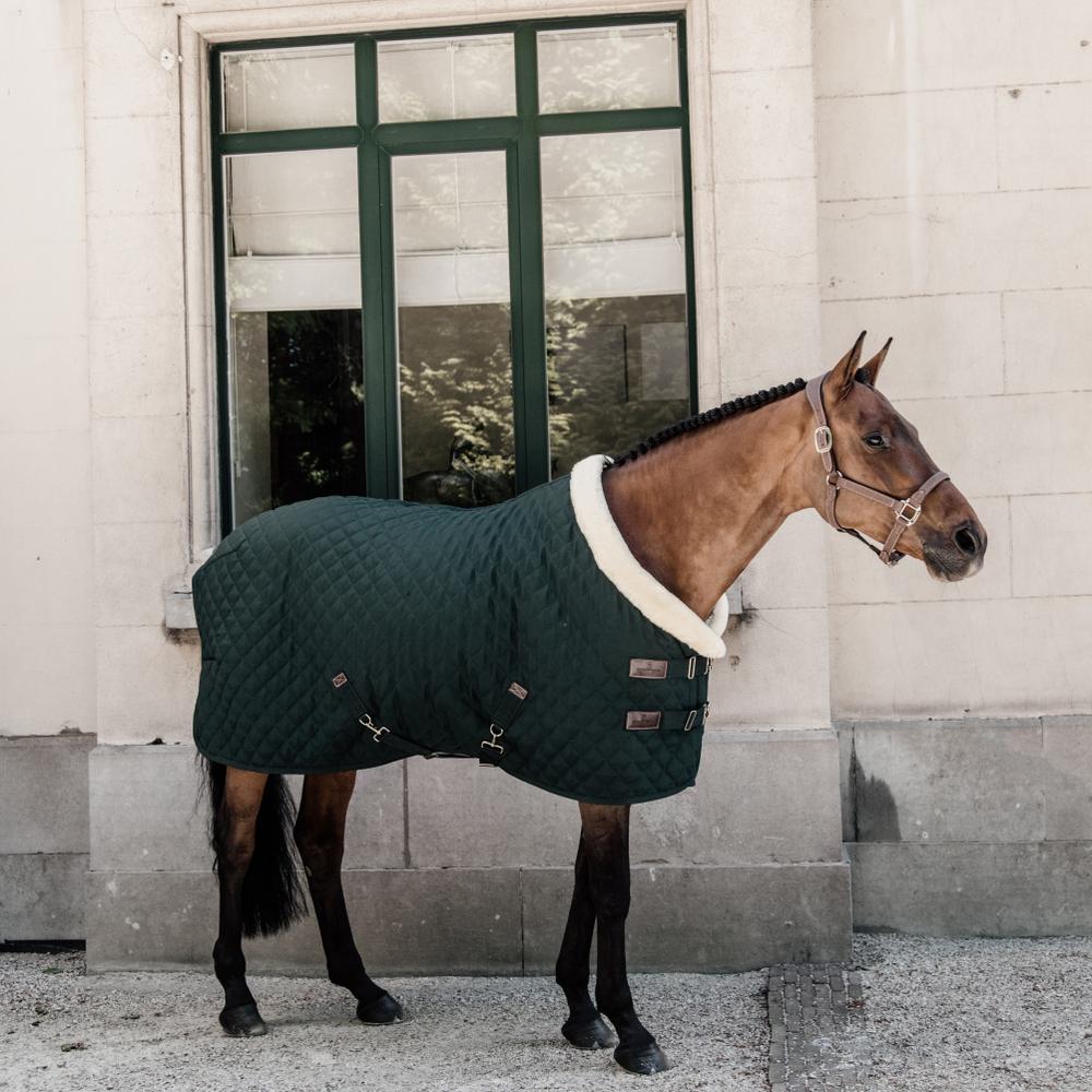 Couverture de concours Show Rug 160g