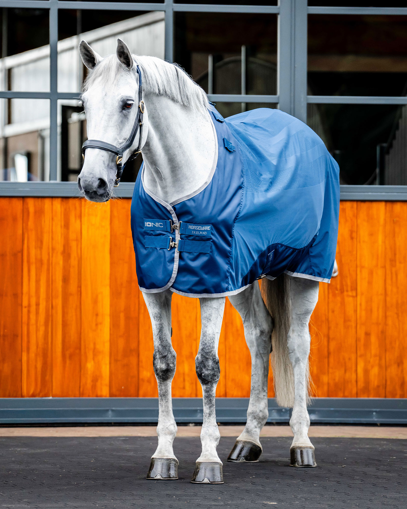 Ionic Therapy sweat rug in imperial blue