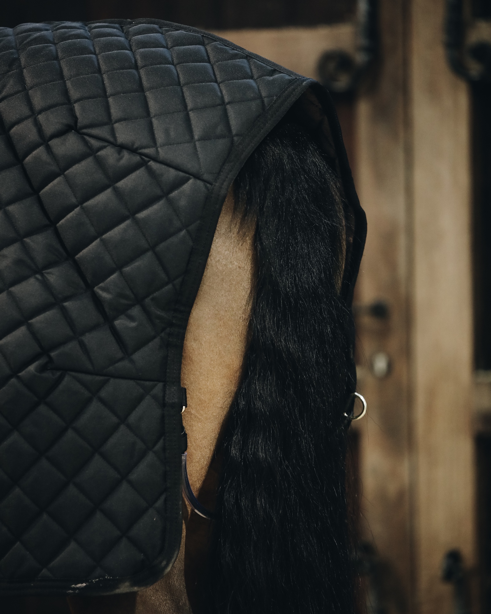 Stable rug 400g