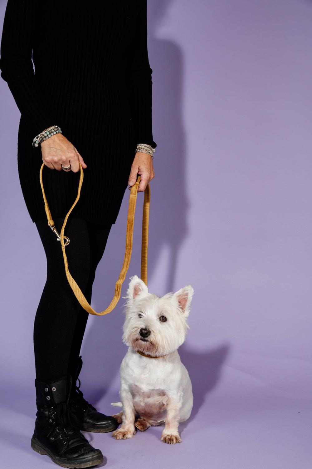 Hunde Leine Velvet 200 cm