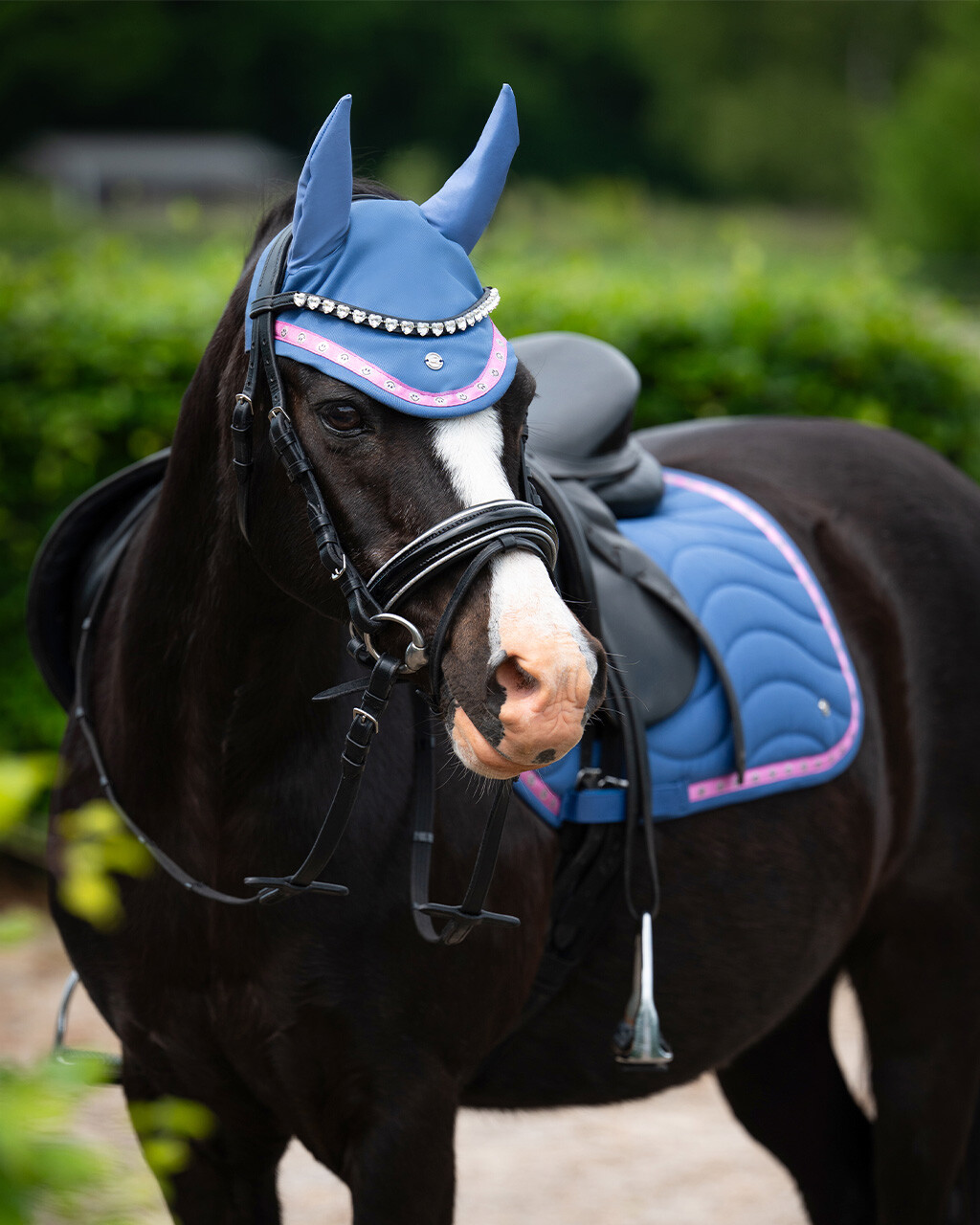 Ohrenhaube Rosalynn