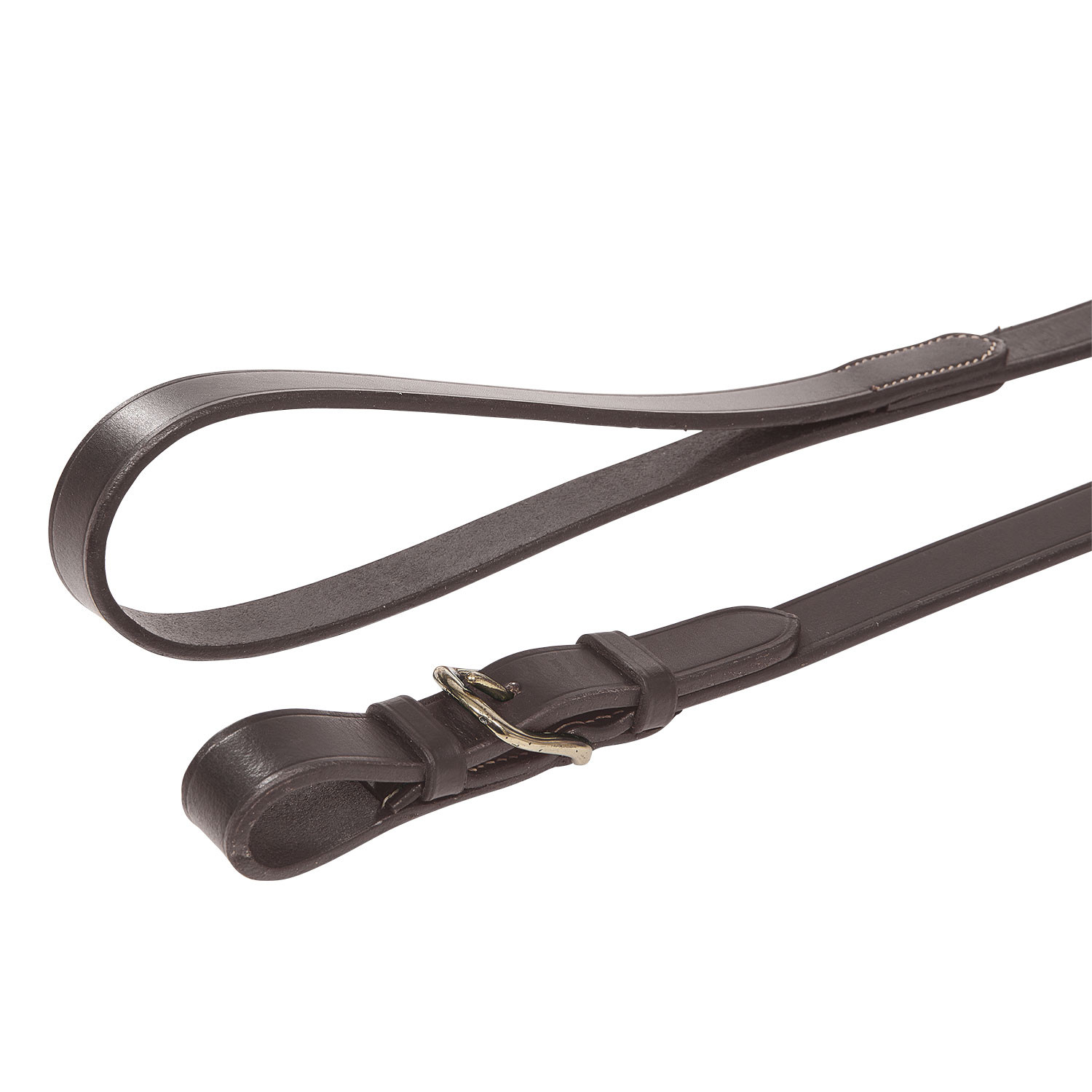 Lead rope with sturdy brass chain