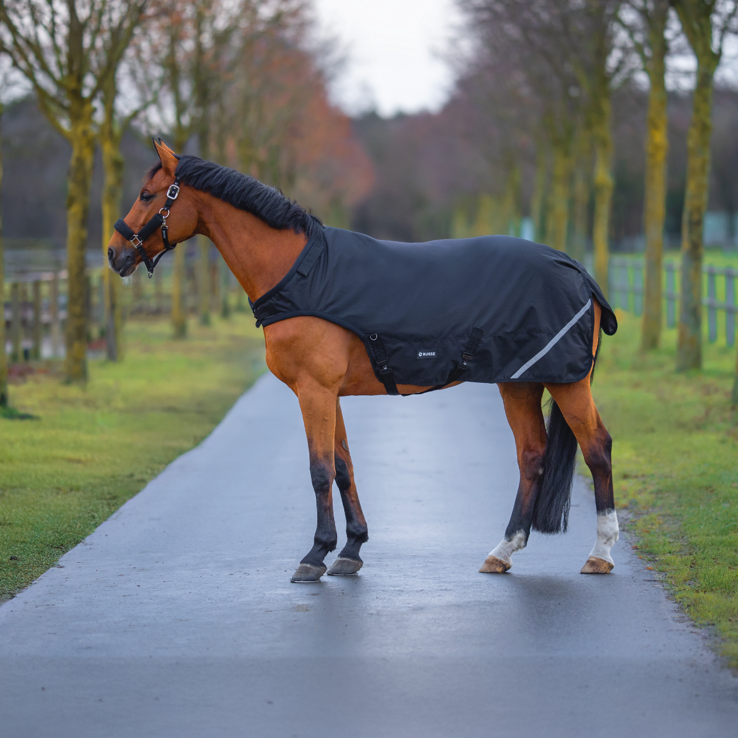 Bewegungsdecke RAIN HL 100