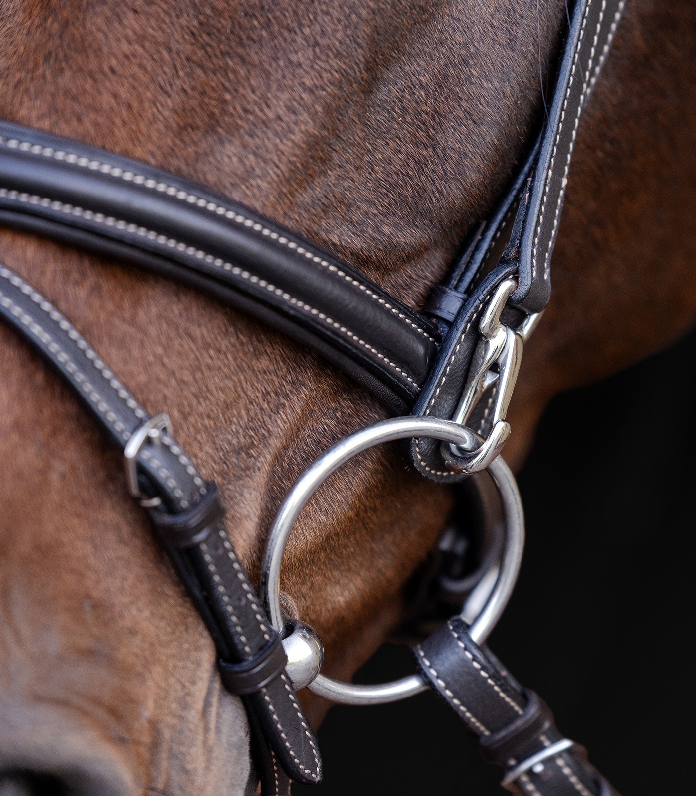 Snaffle bridle Work Waldhausen X-Line
