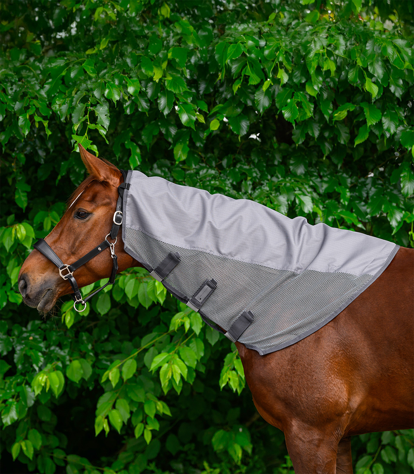 Regen-Fliegen Halsteil Comfort