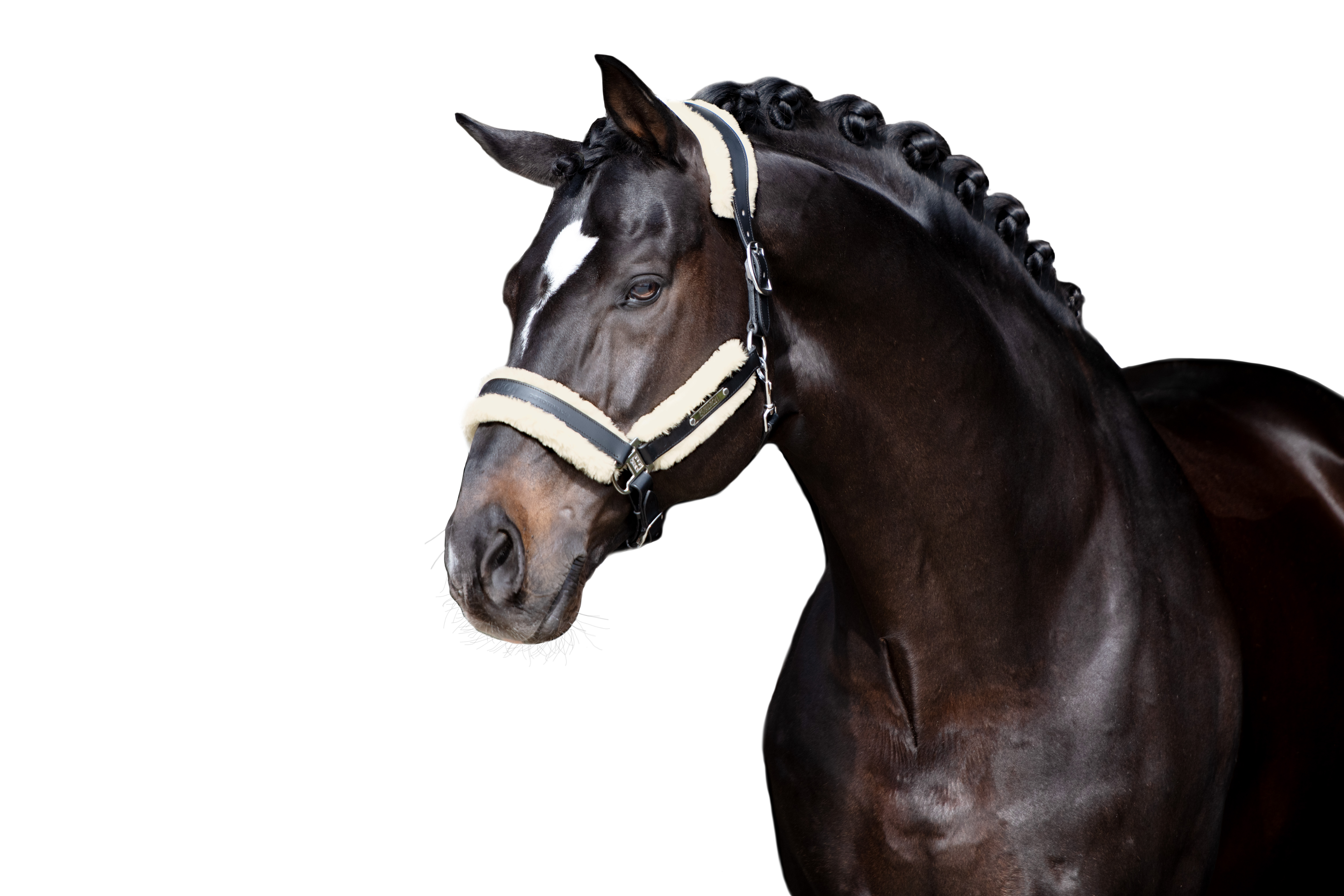 Klettpolster Set Fauxfur Stallion