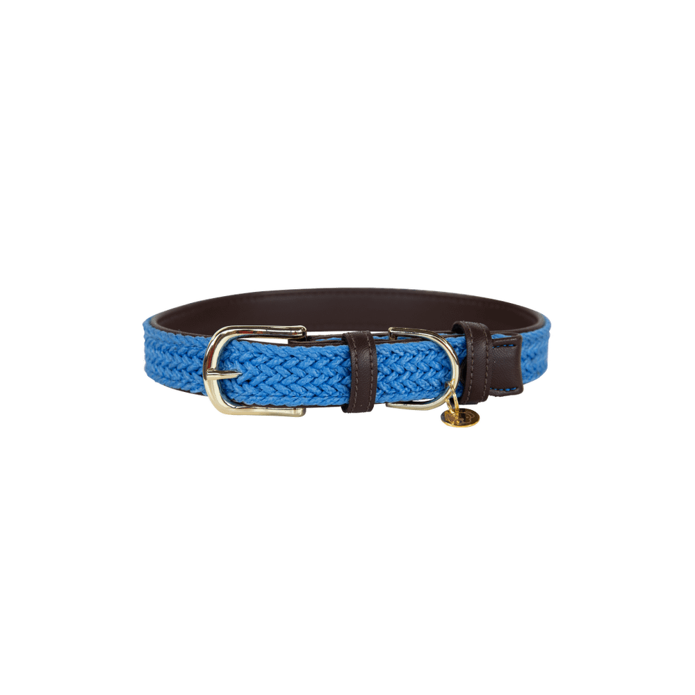 Collier de chien tressé en nylon