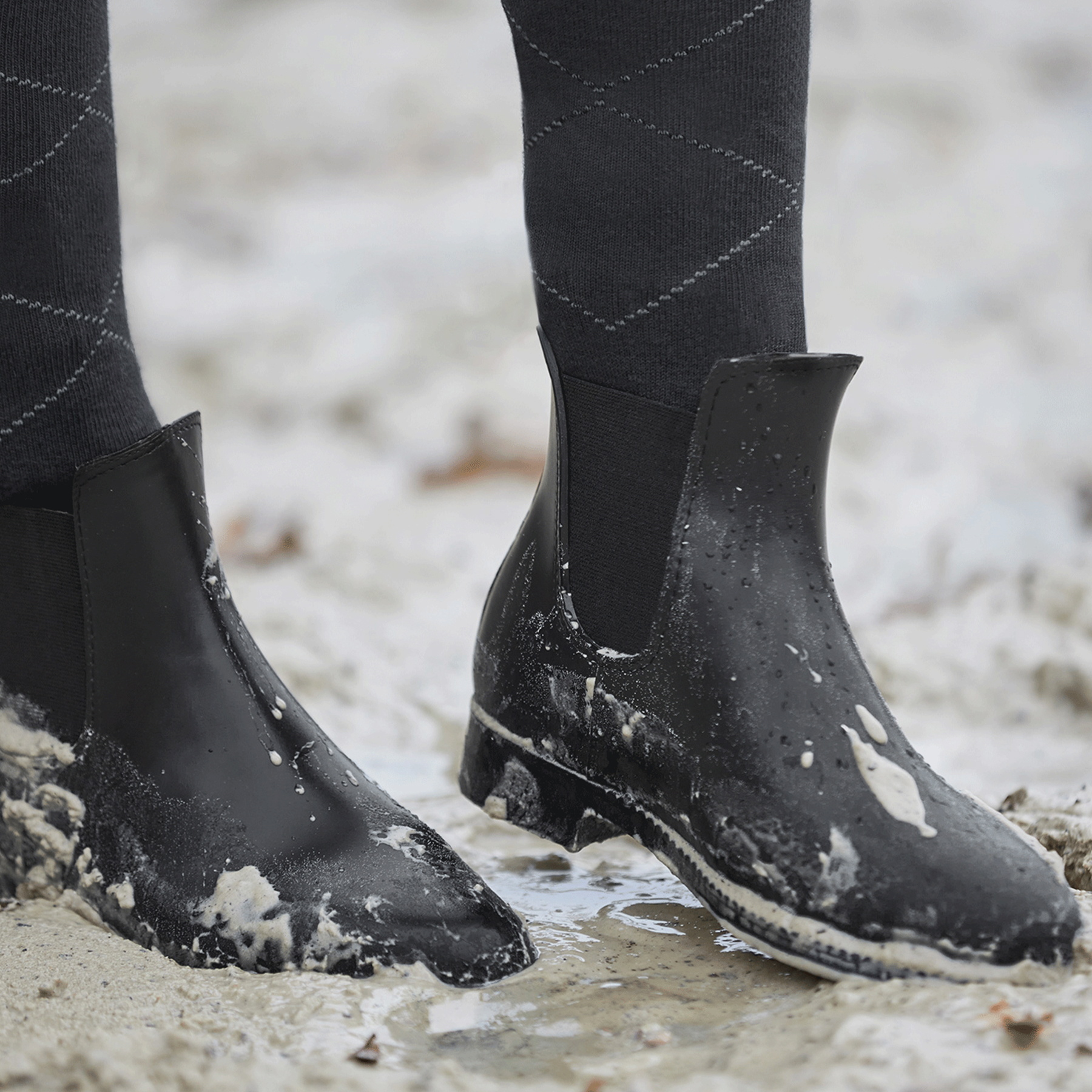 Jodhpurstiefelette Chelsea