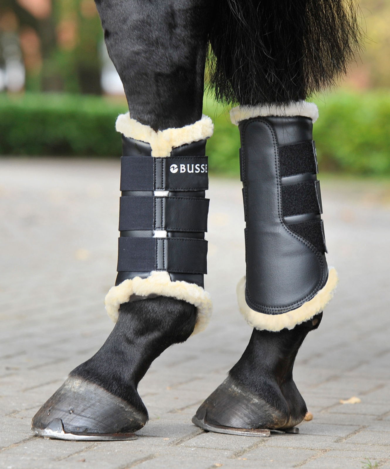 Gamaschen St. Georges