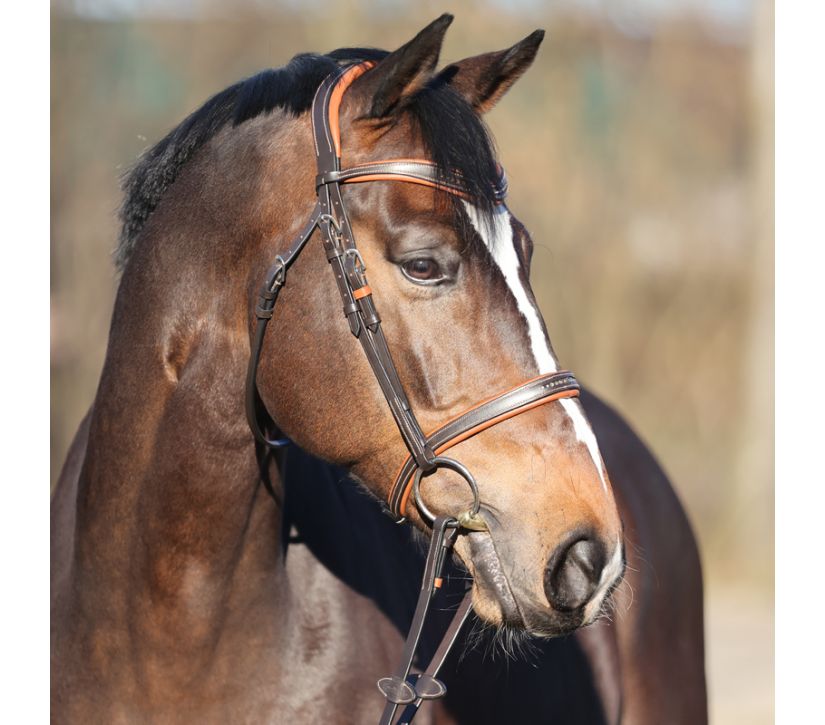 Snaffle "Ella" close-comb. Snaffle "Ella" close-comb.