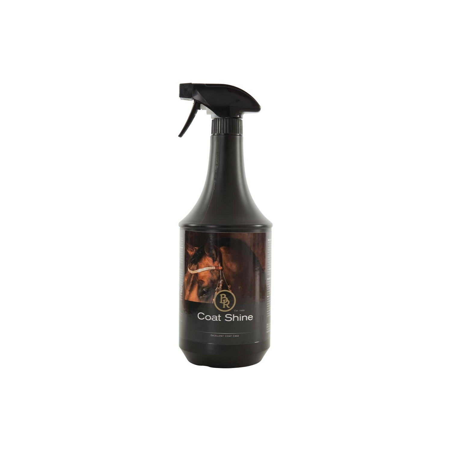 Coat Shine 1000 ml