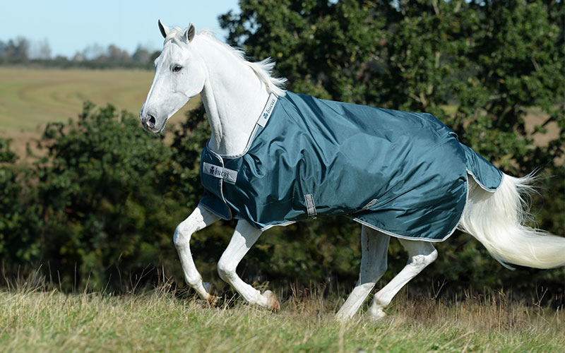 Bucas Outdoordecken Pferd mit Bucas Atlantic Turnout auf der Weide