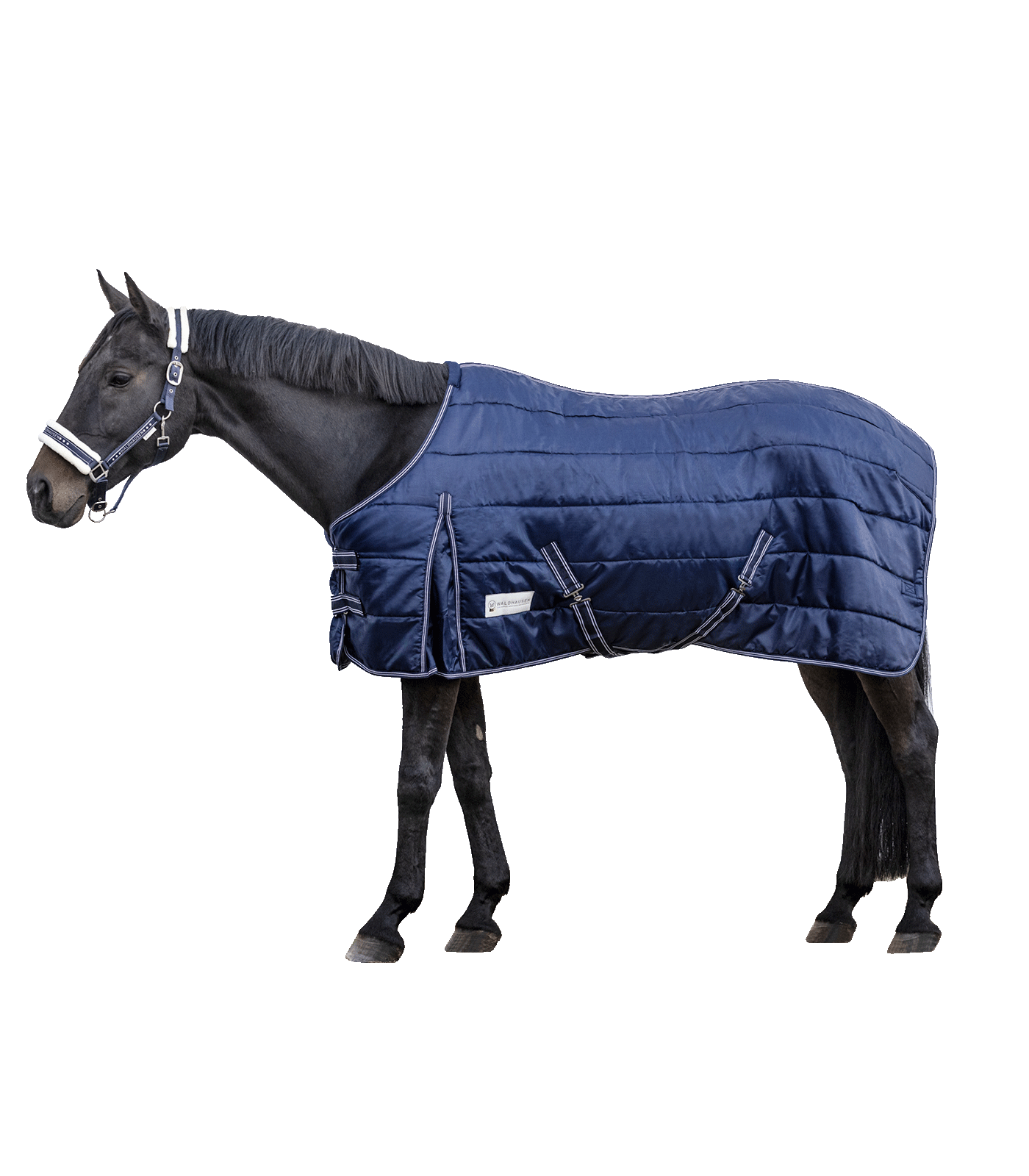 Stable blanket Economic 200 g