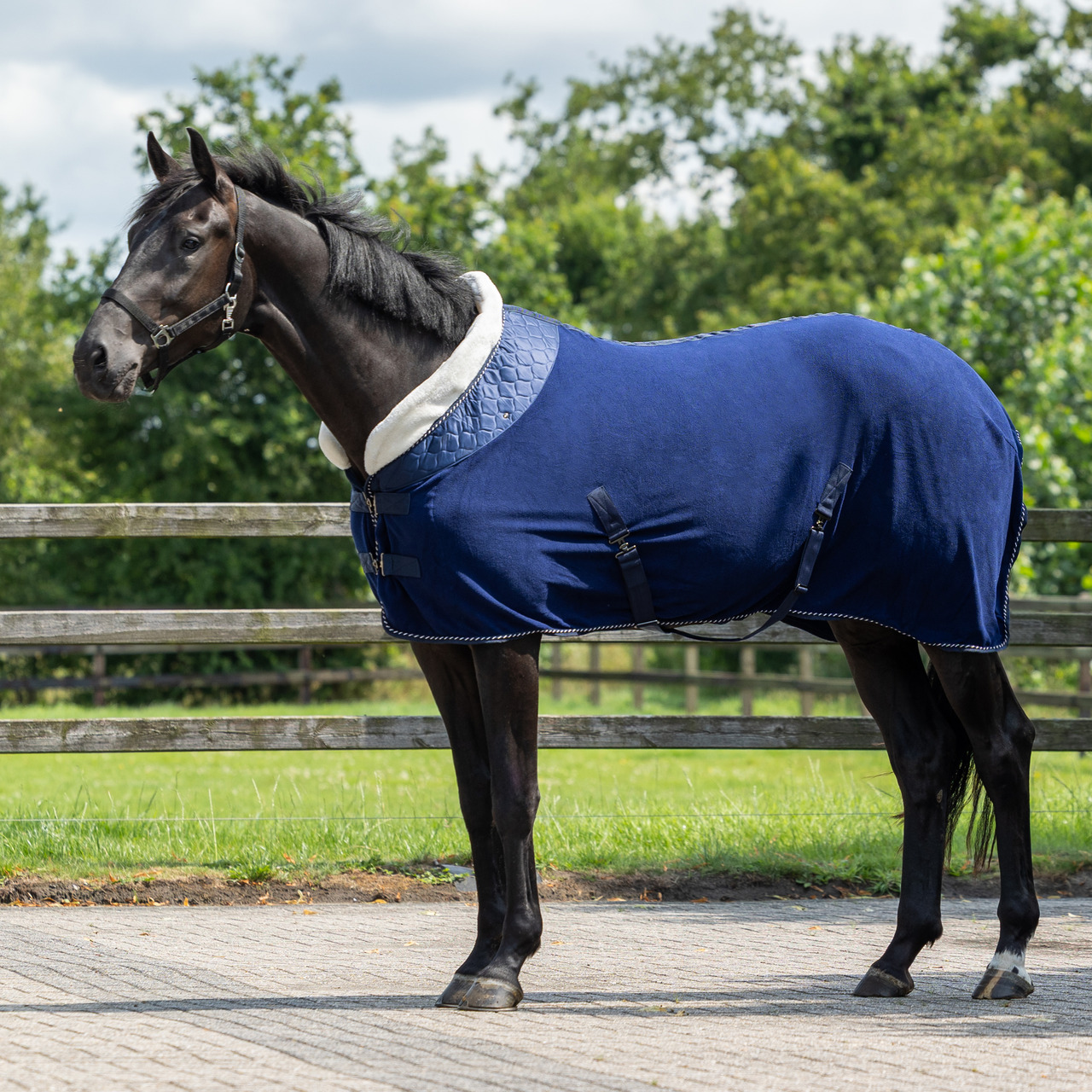 Brilliance sweat rug Brilliance sweat rug