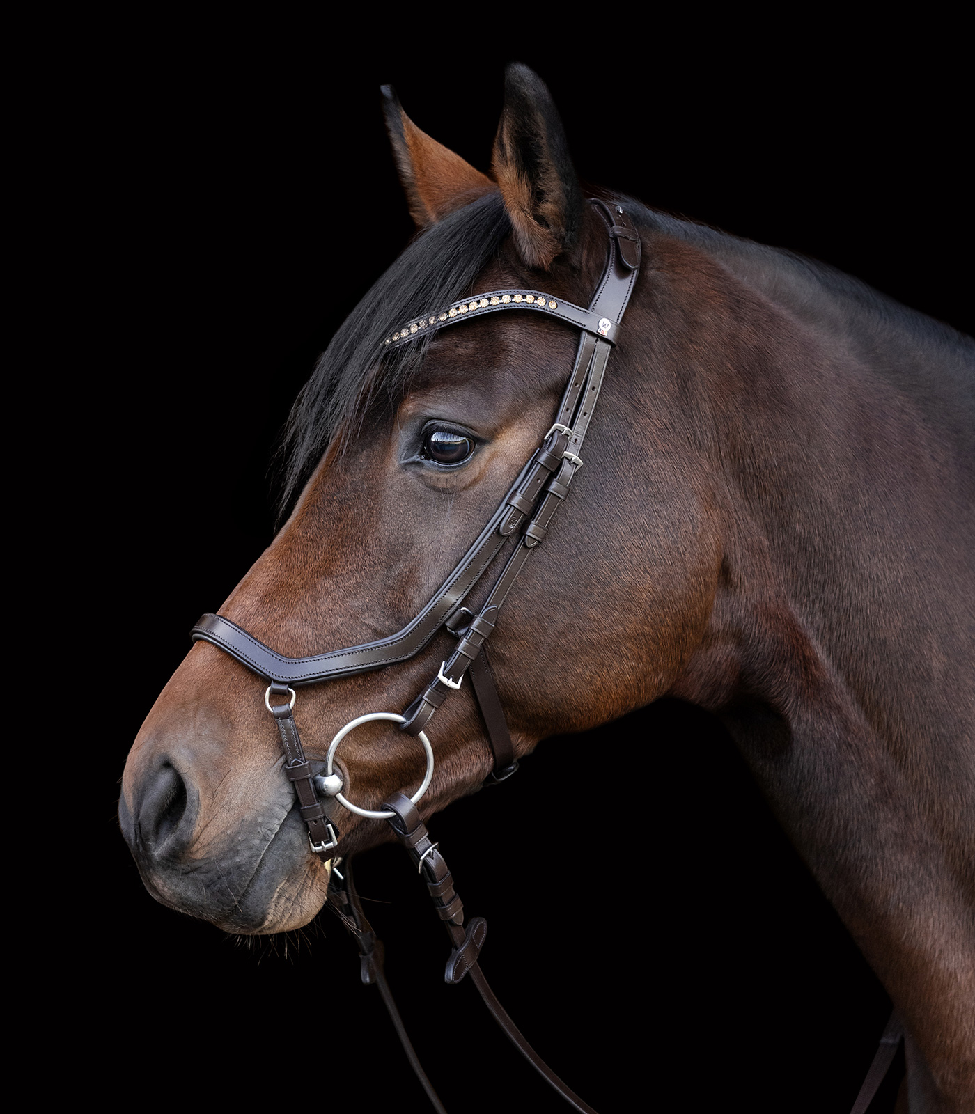 Relaxation bridle Waldhausen X-Line