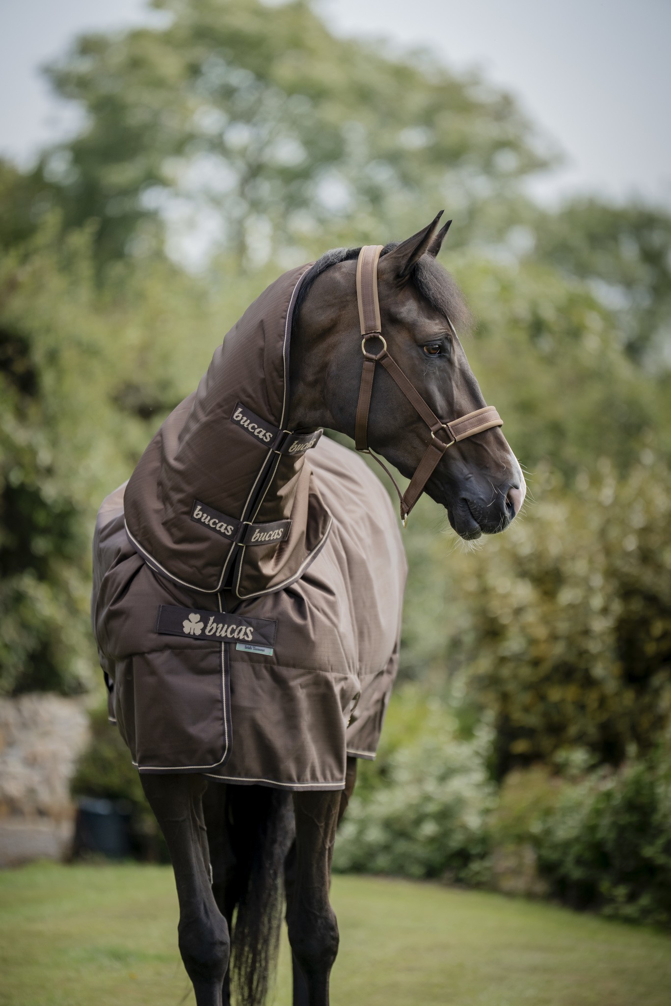 Outdoordecke Irish Turnout 300 g in Espresso