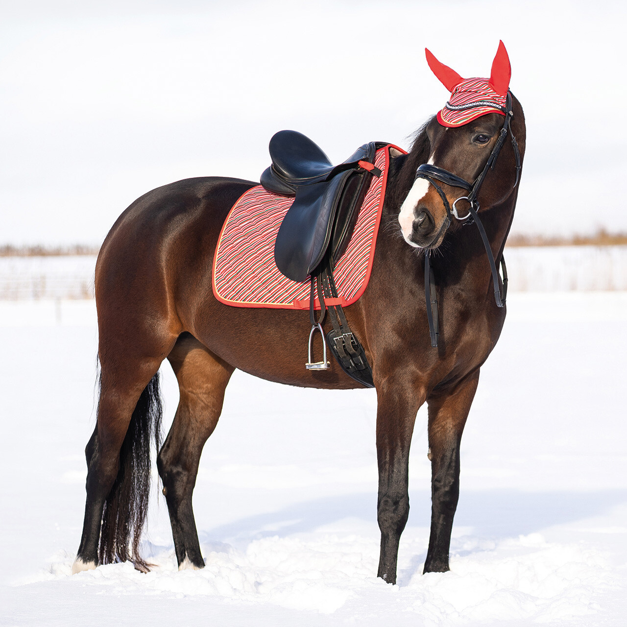 Schabracke Weihnachten