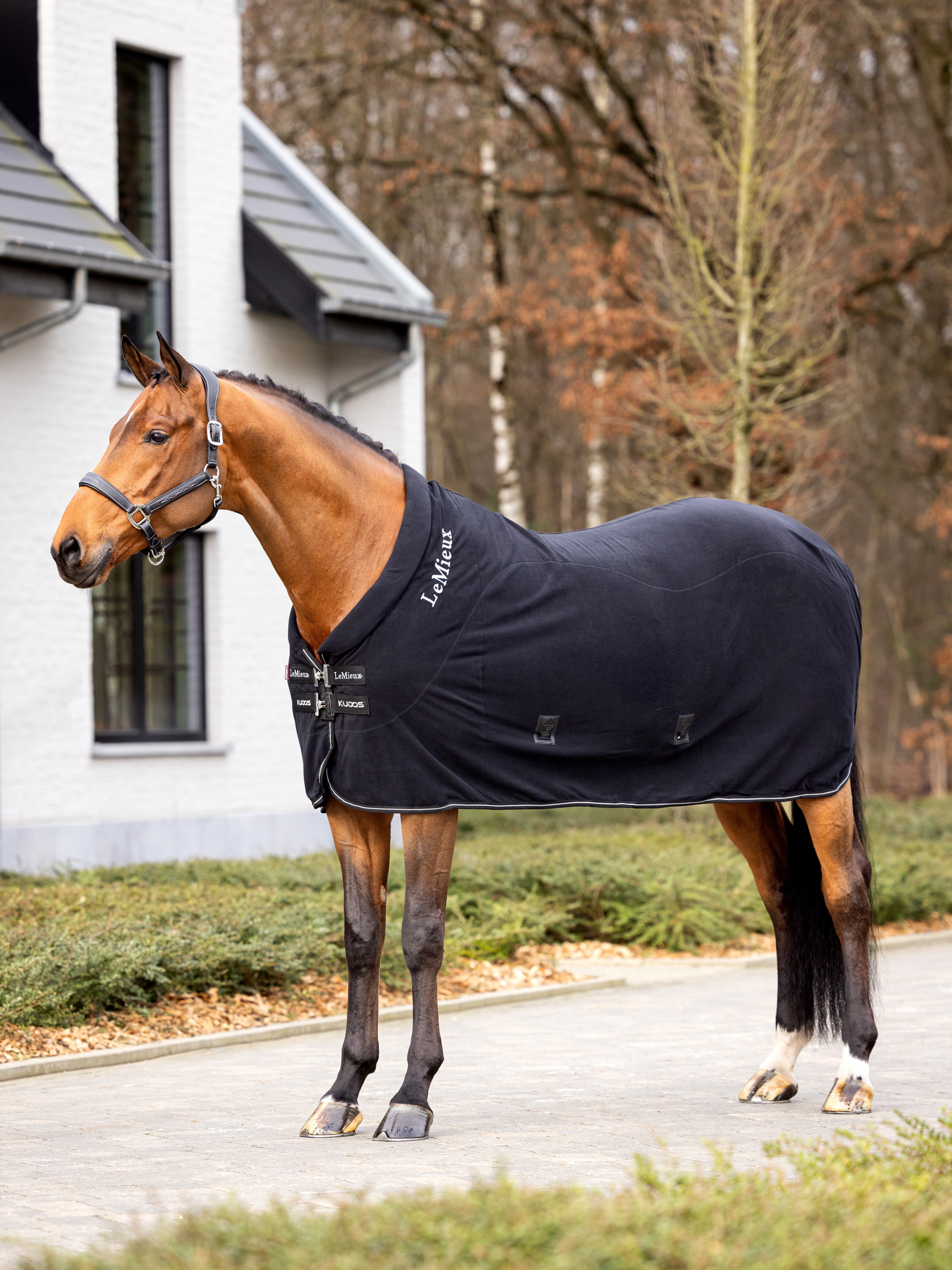 Kudos fleece rug
