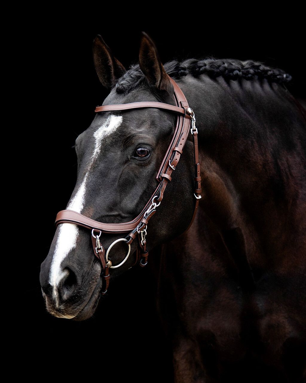 Snaffle FaySport