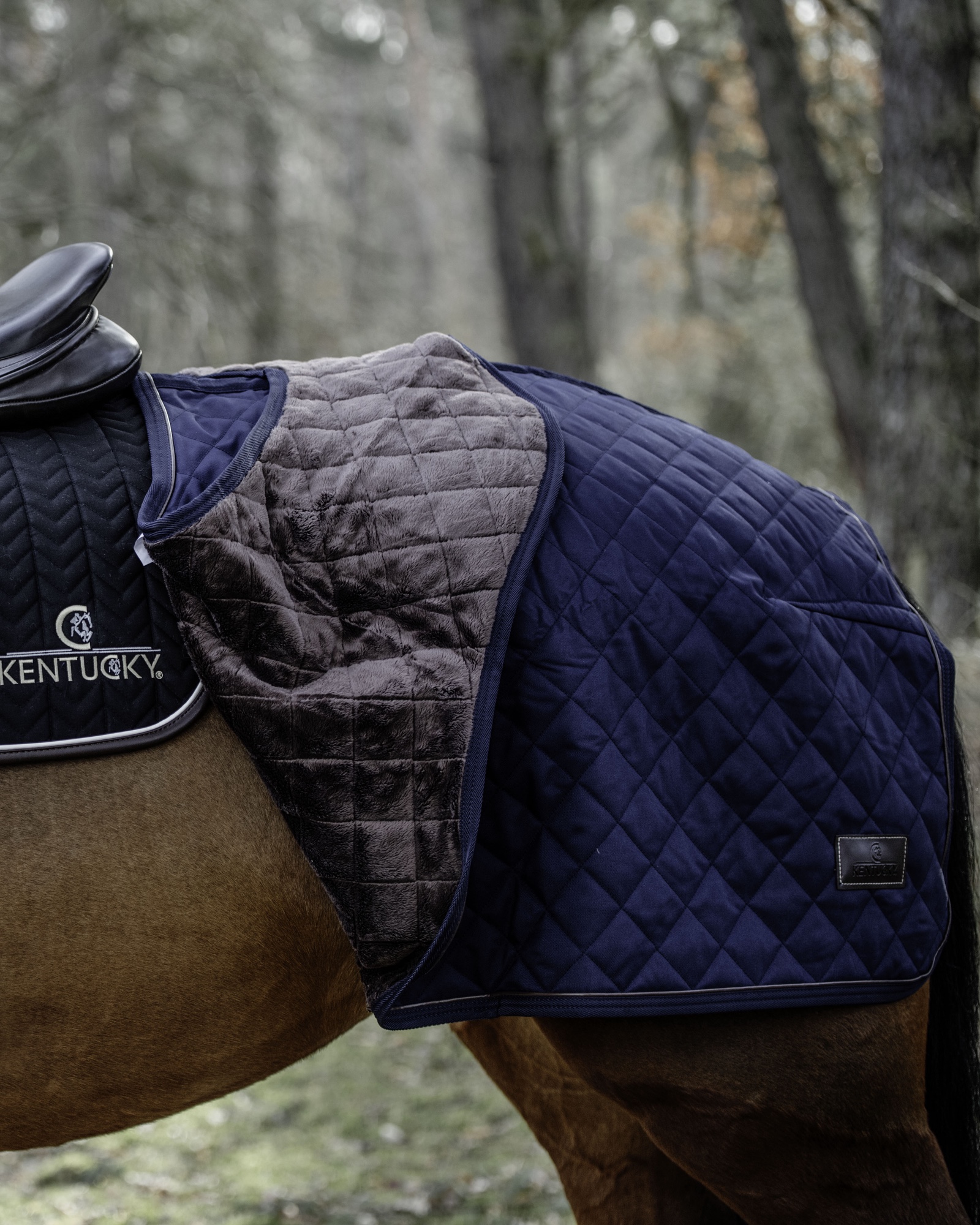 Riding rug 160g
