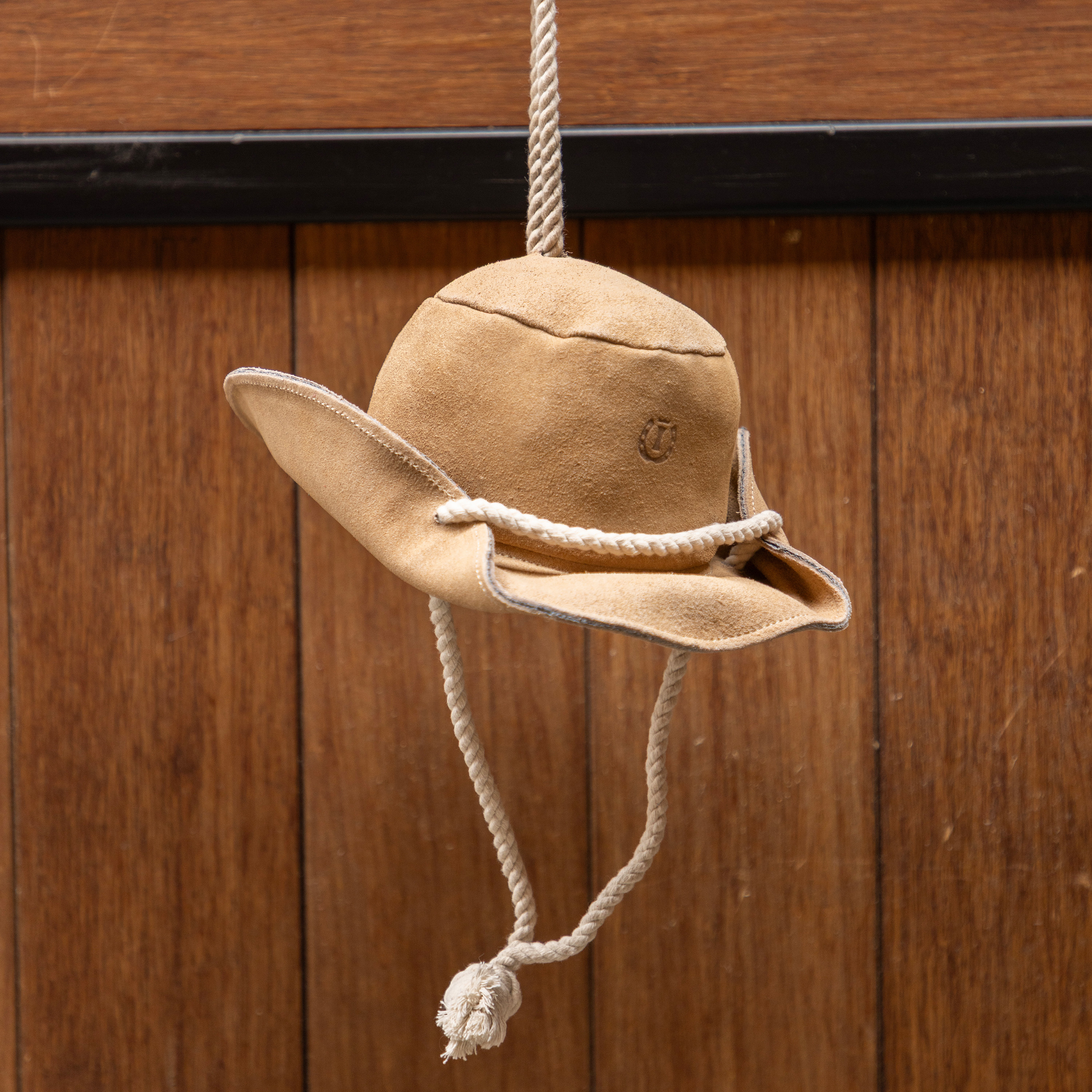 Stable buddy Cowboy hat