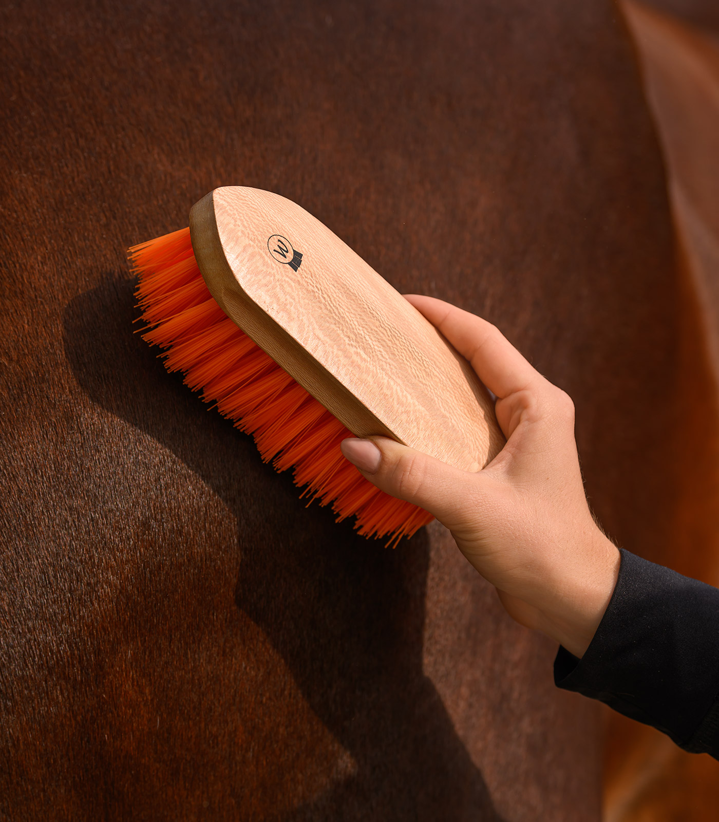 Mane Brush Colorcare