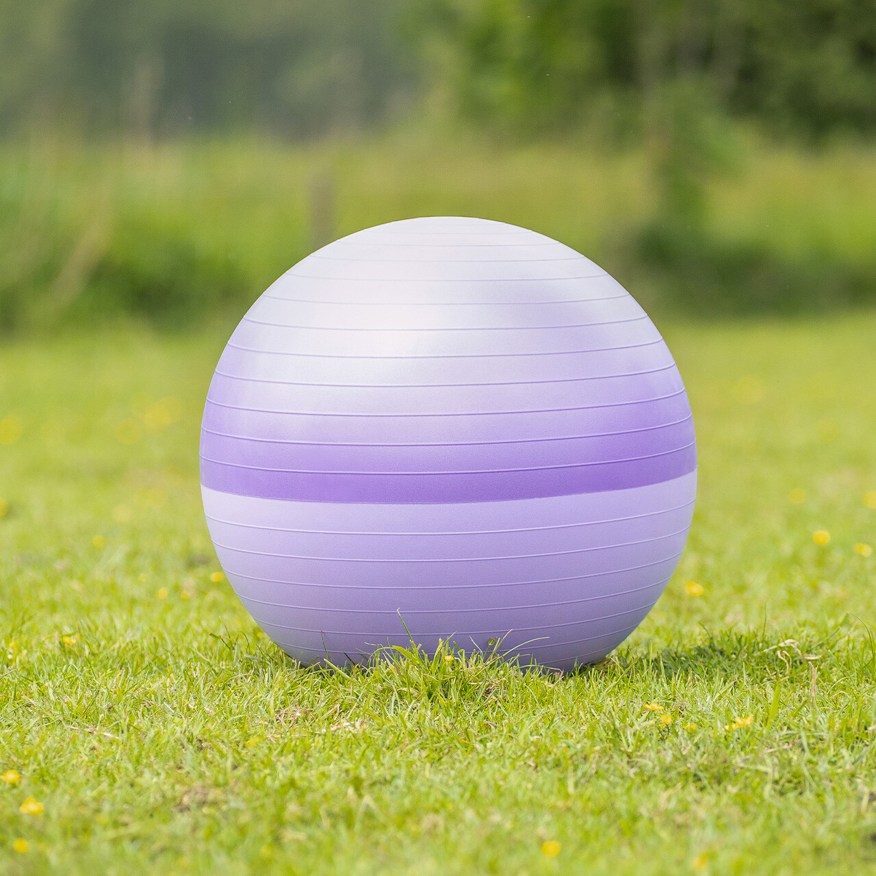 Horse ball two-tone