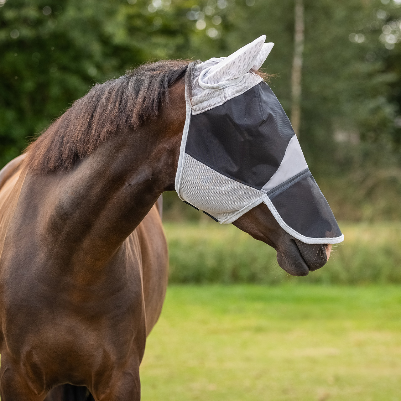 Solaire fly mask