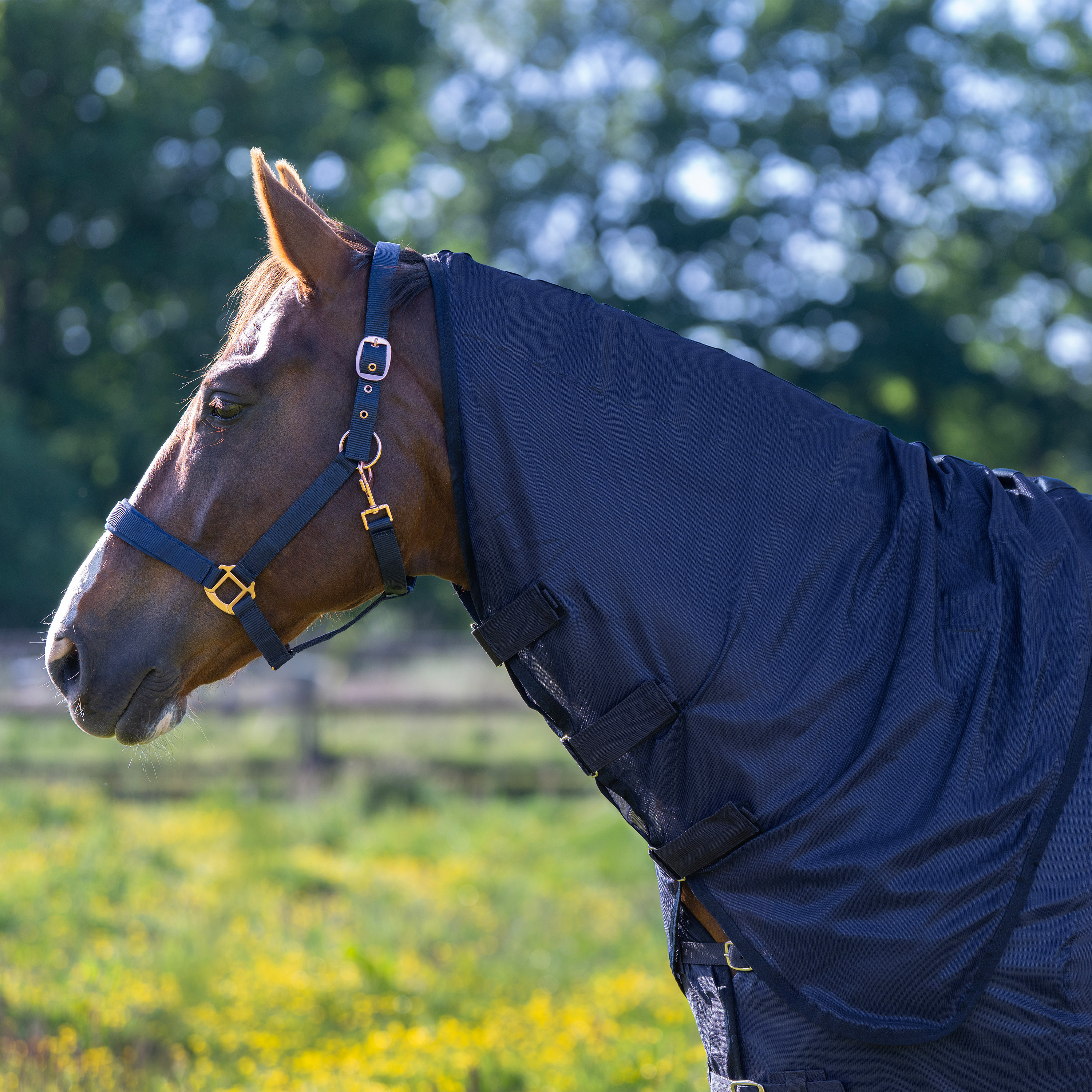 Fliegendecke Reese