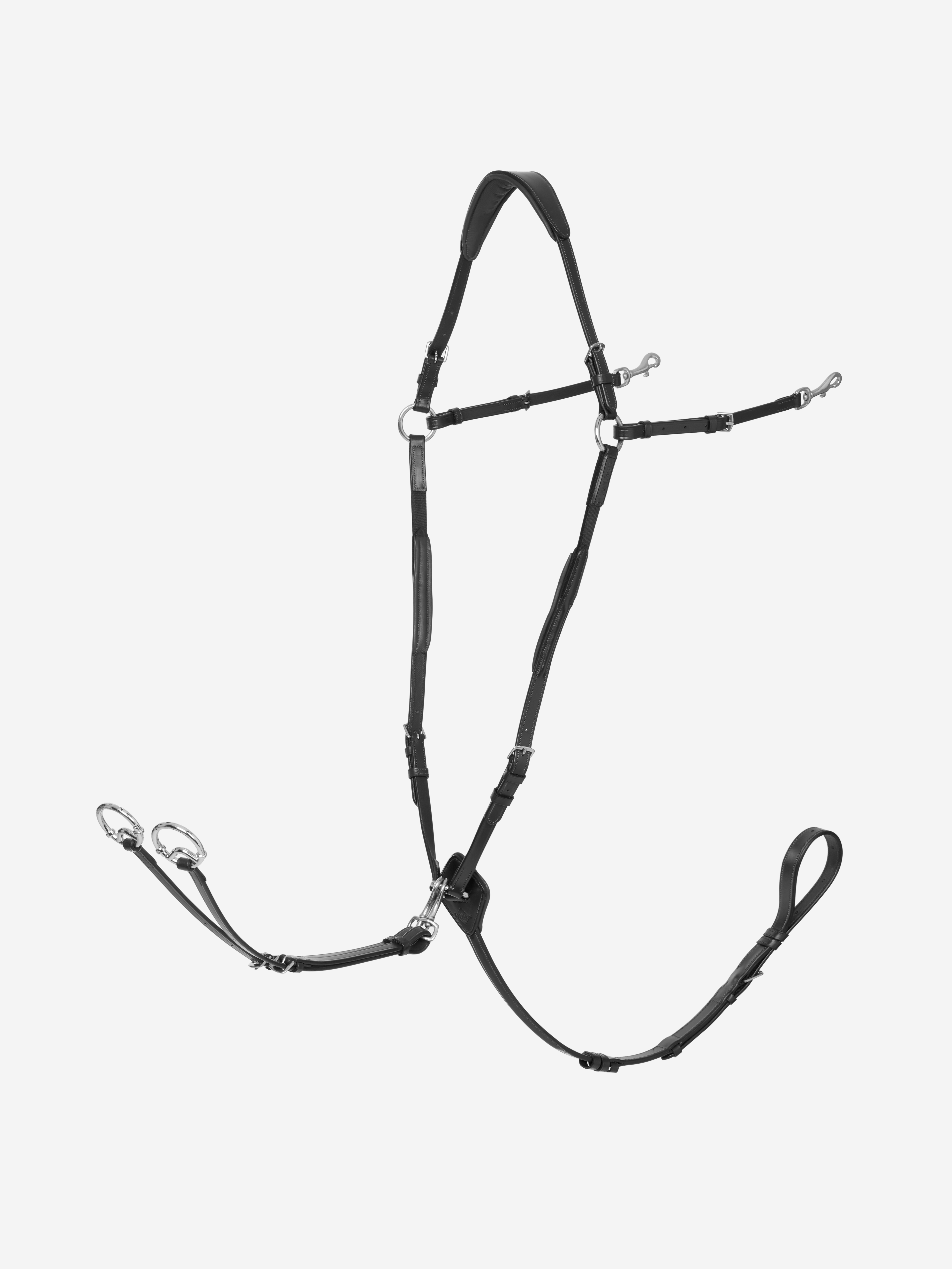 D-ring breastplate